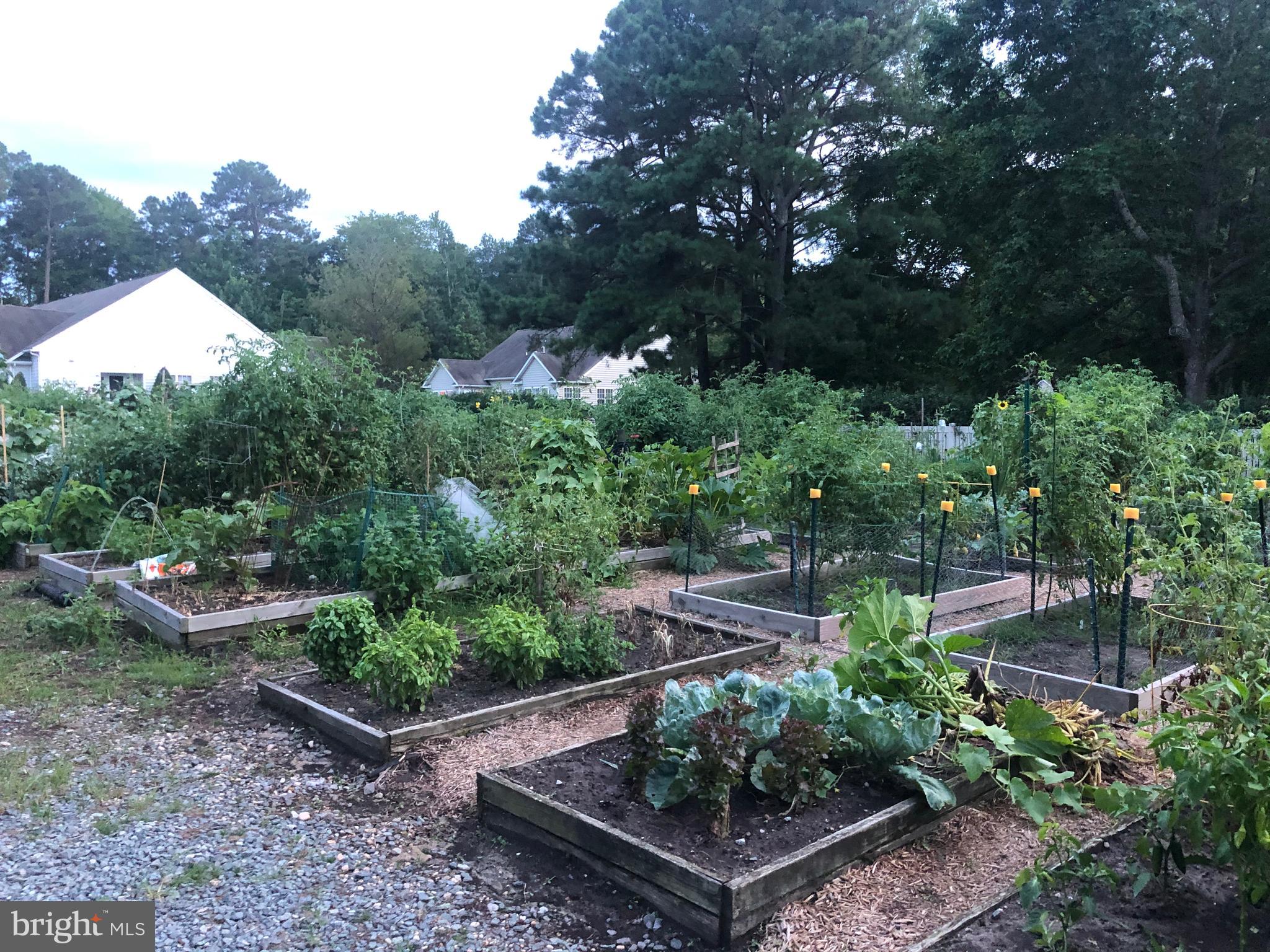 OCEAN PINES - SALT GRASS COVE - Residential