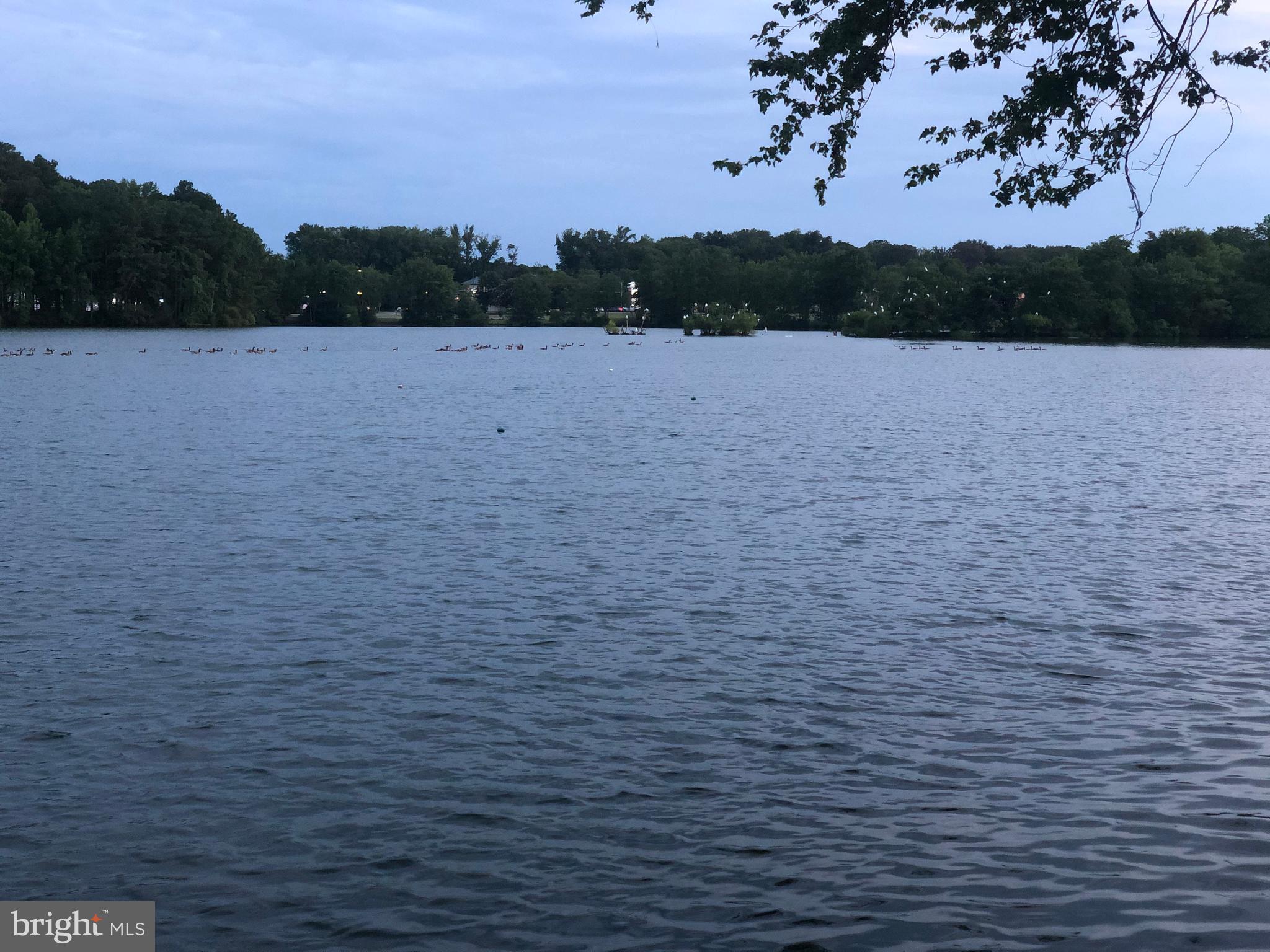 OCEAN PINES - SALT GRASS COVE - Residential