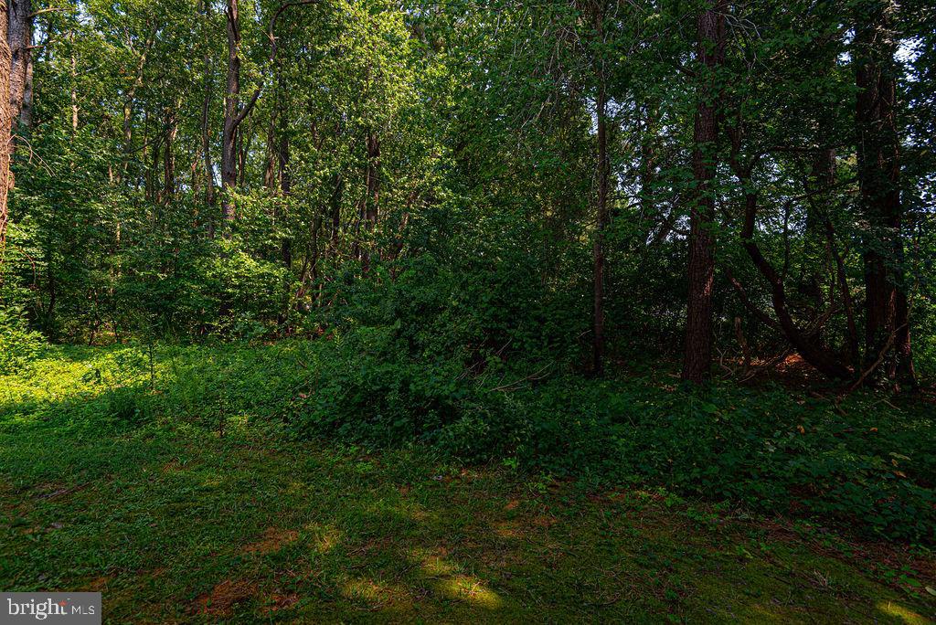 OCEAN PINES - SALT GRASS COVE - Residential