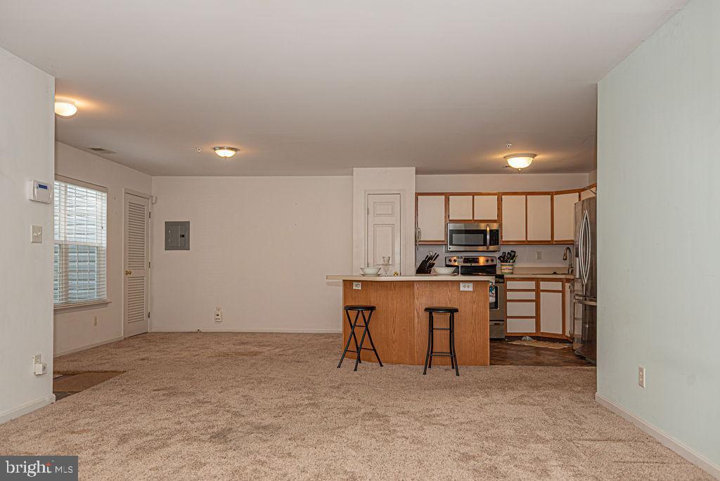 OCEAN PINES - SALT GRASS COVE - Residential