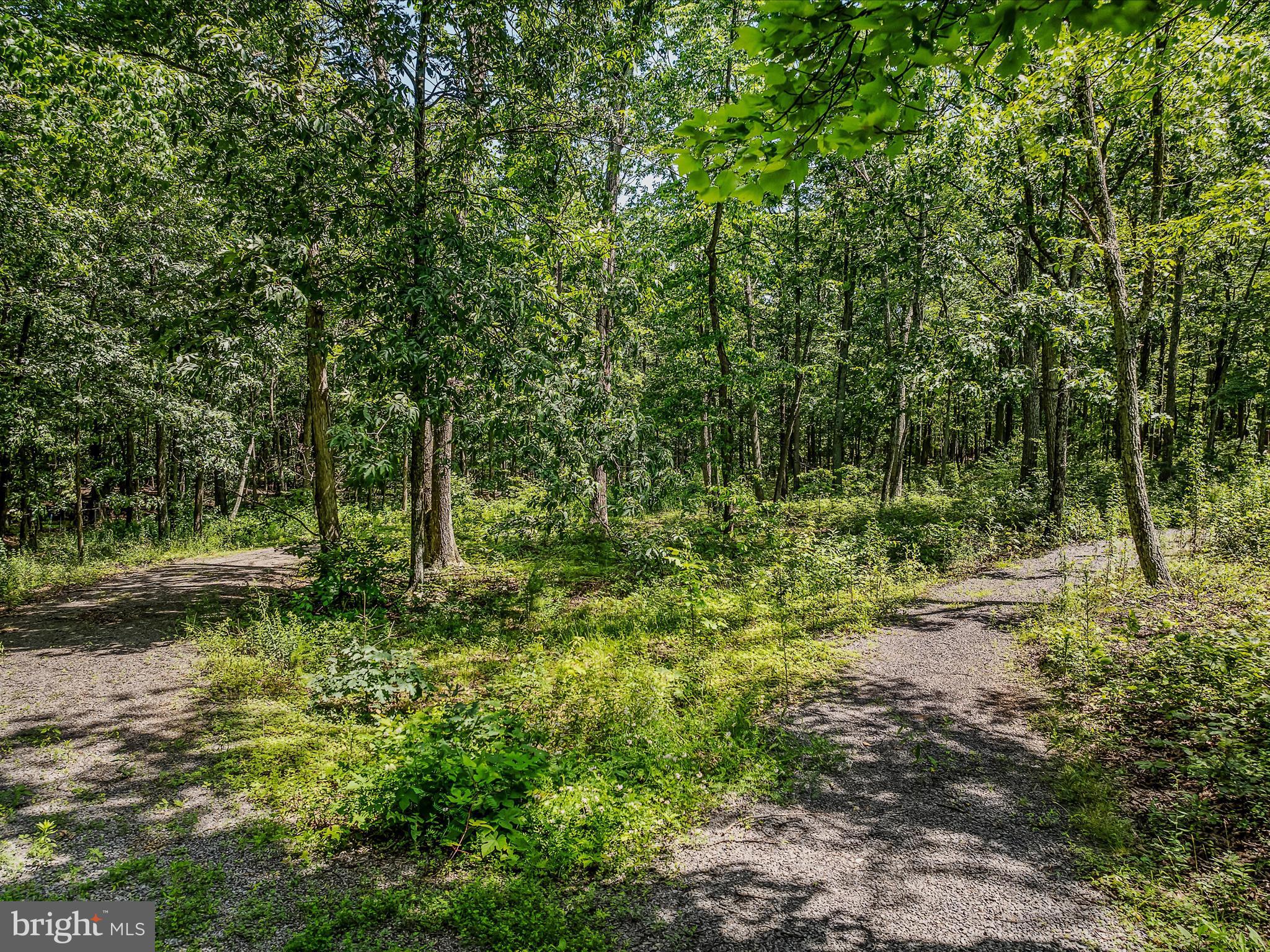 ROCK GAP SPRINGS - Residential