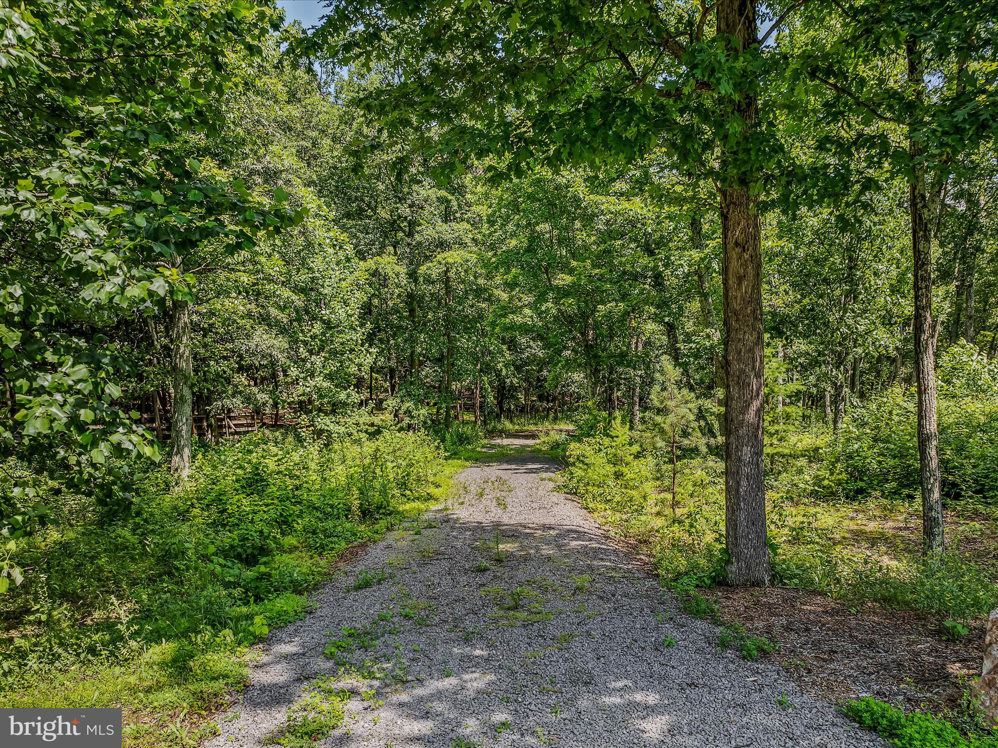 ROCK GAP SPRINGS - Residential