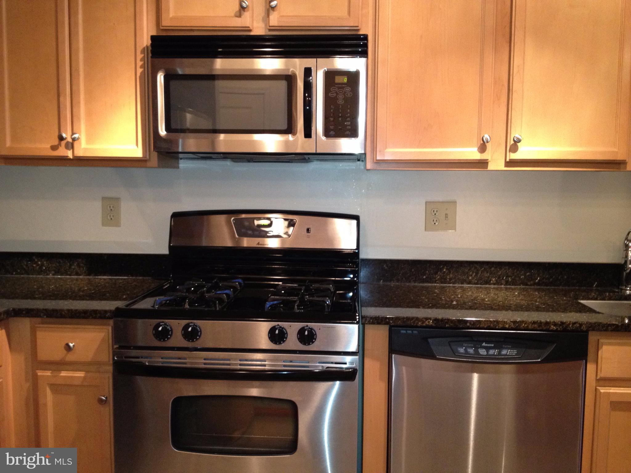 HALSTEAD AT THE METRO - Residential Lease