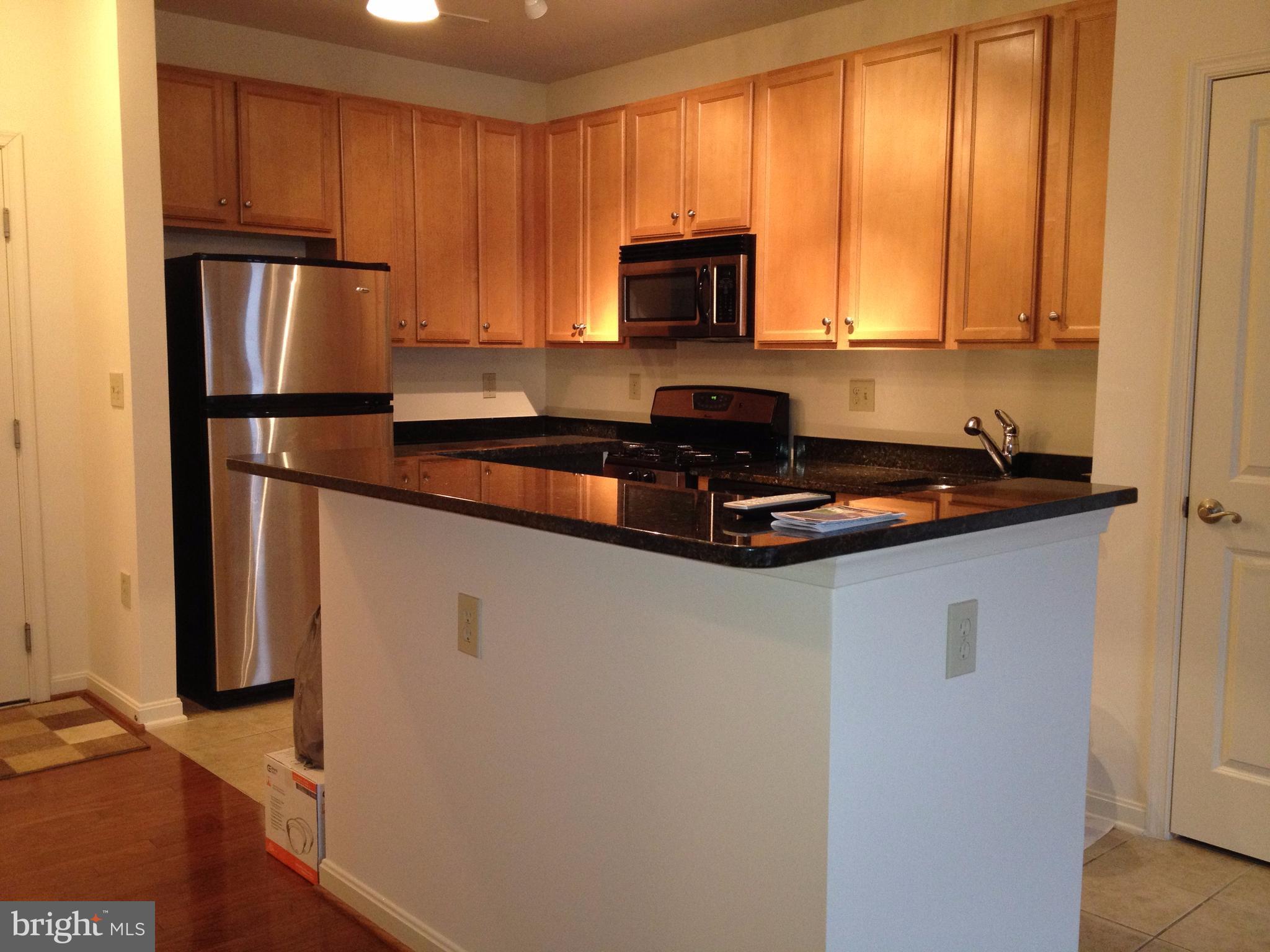 HALSTEAD AT THE METRO - Residential Lease