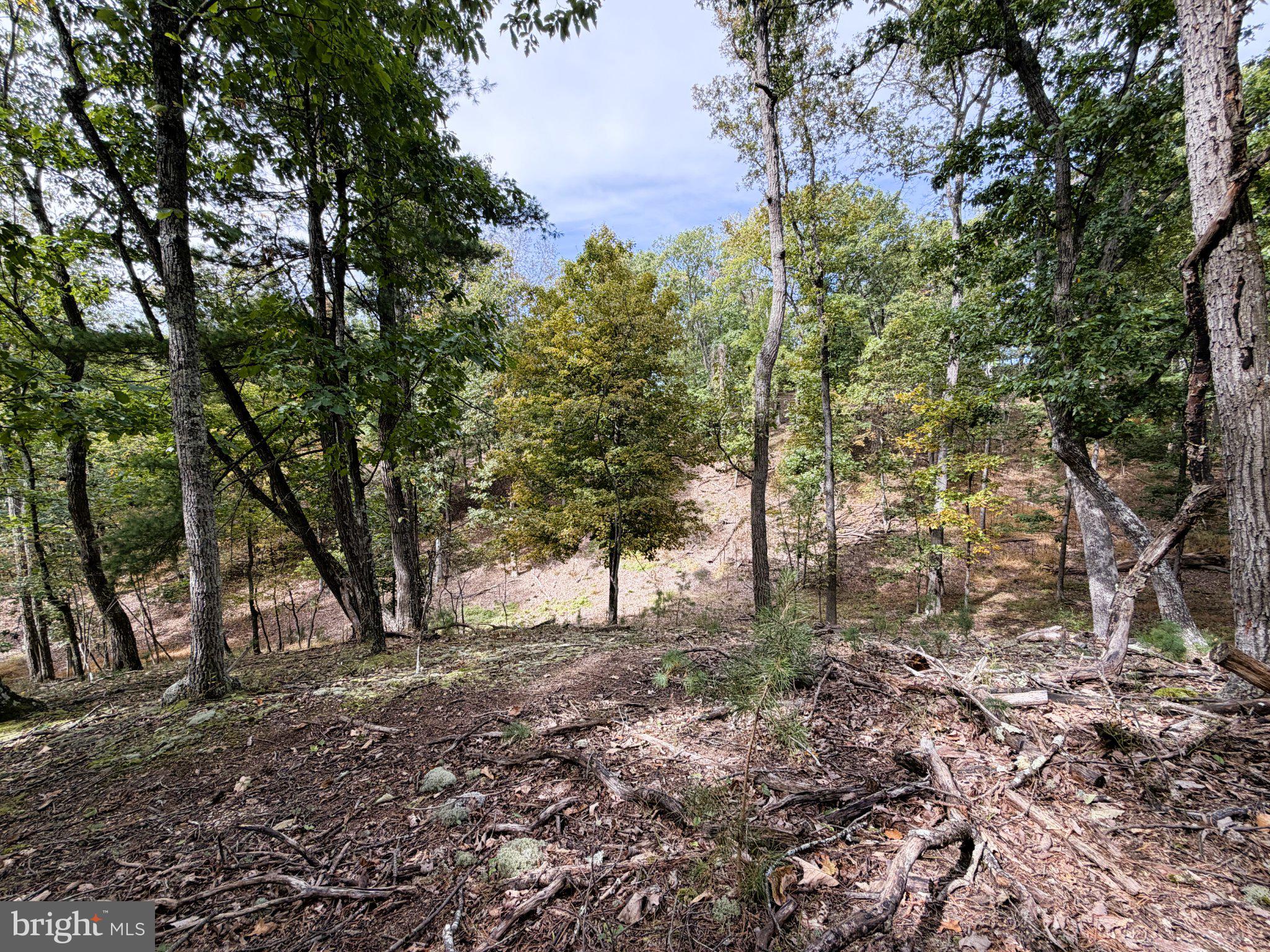 24 LONG ACRE ESTATES