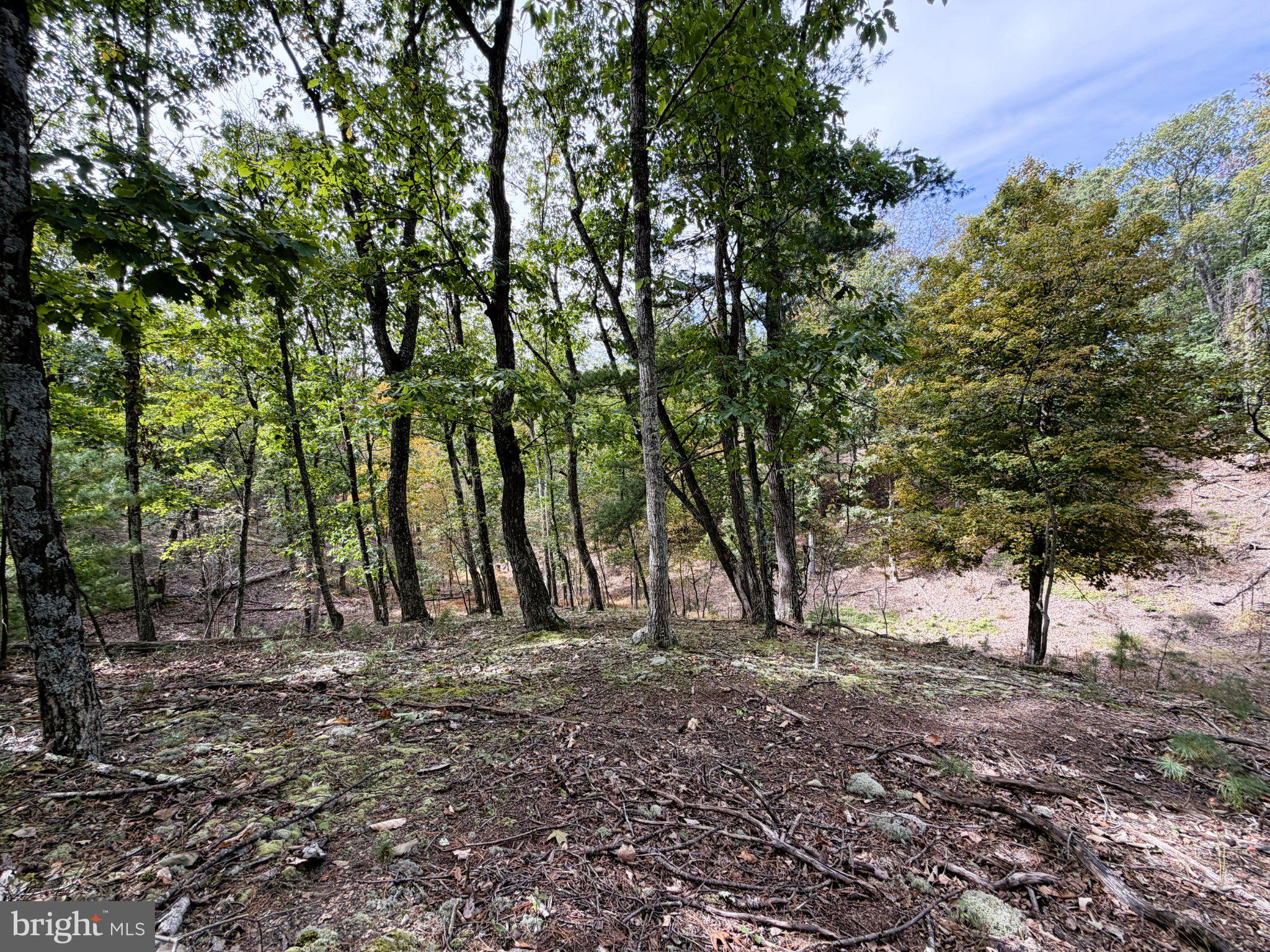 24 LONG ACRE ESTATES