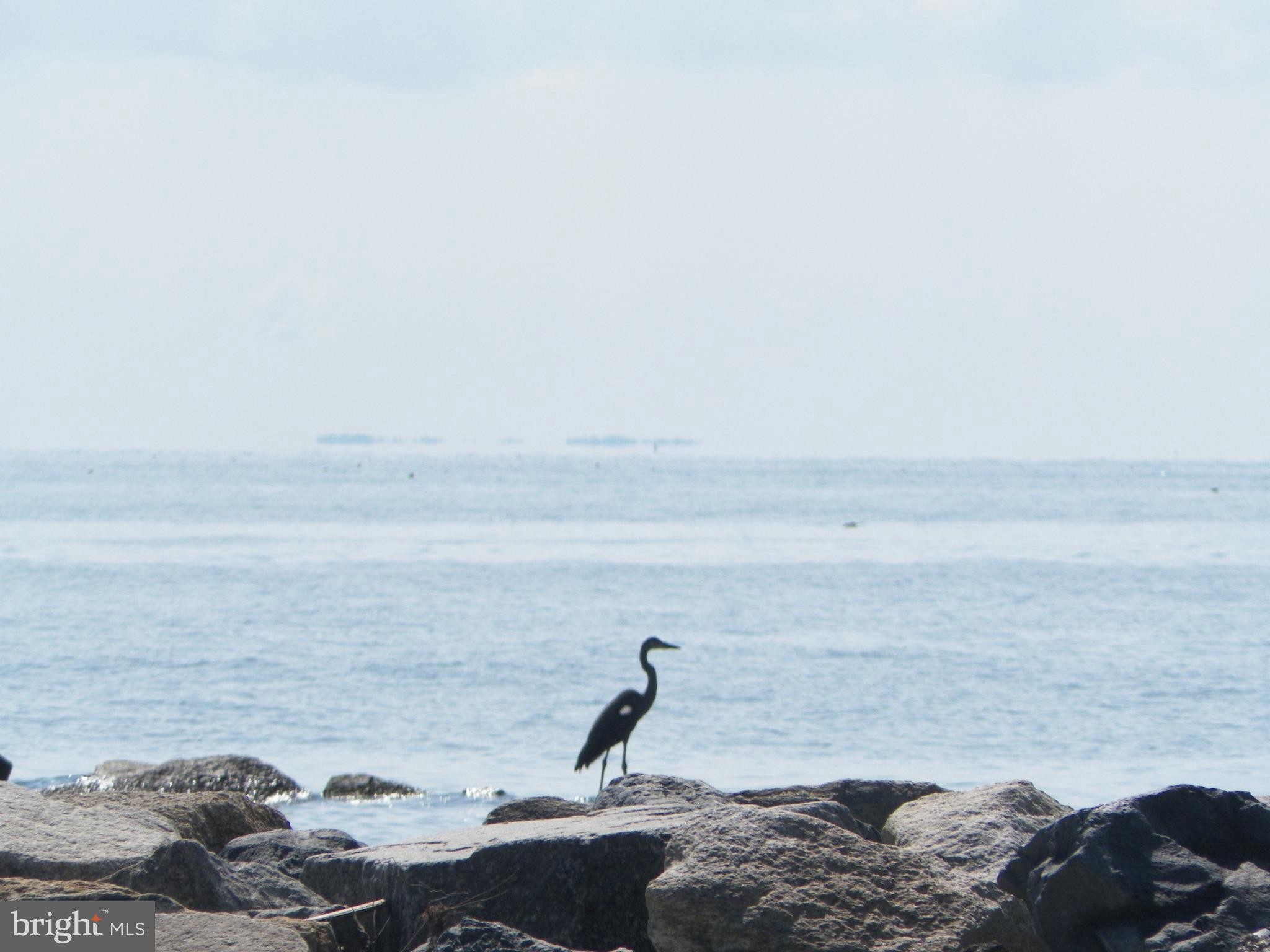 FLAG HARBOR HEIGHTS - Residential