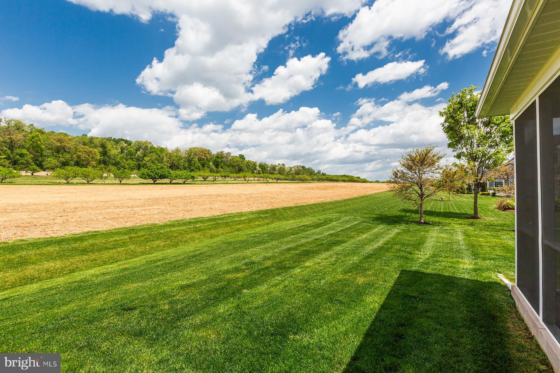 BROOKLAWN - Residential