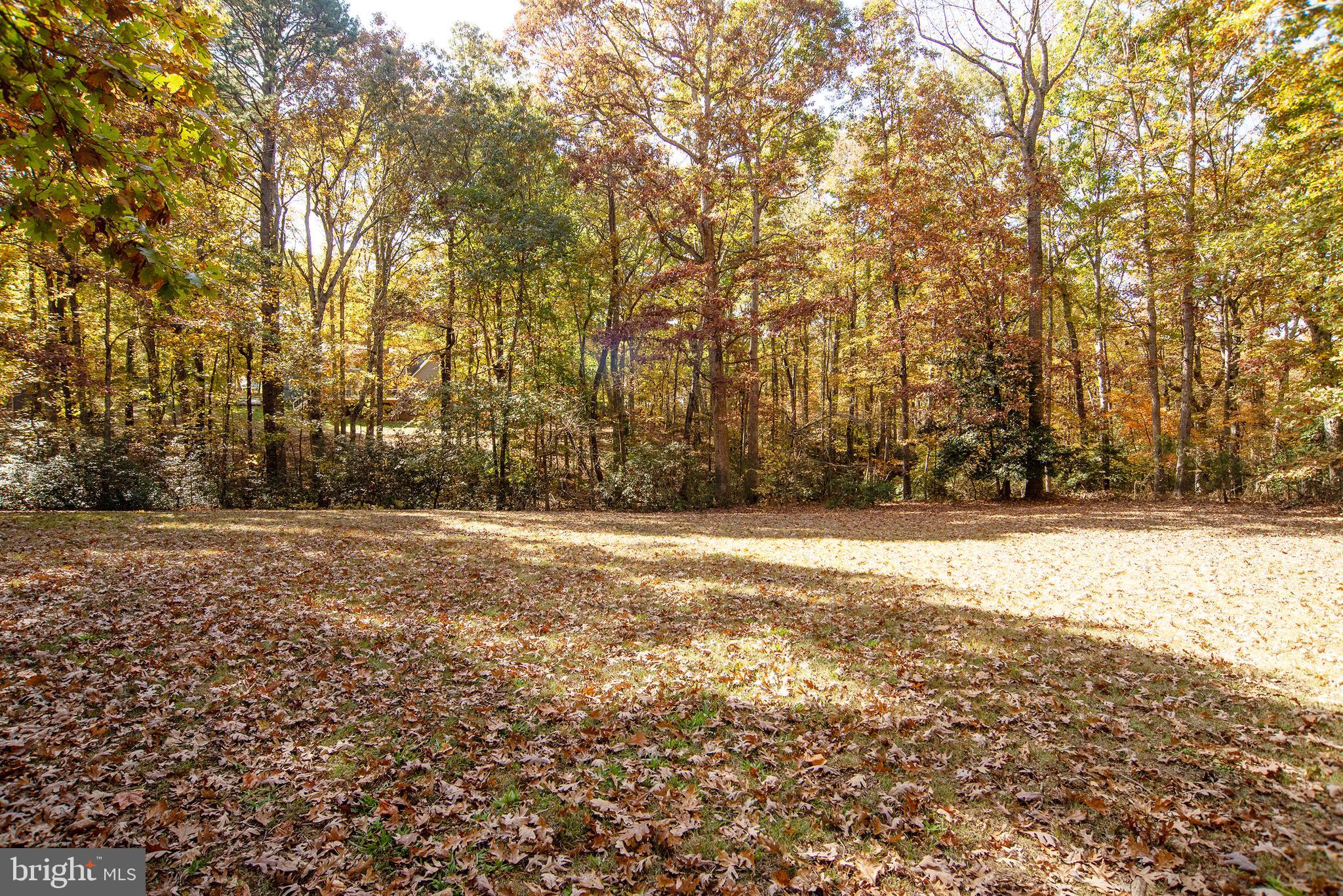 CHANCELLOR WEST - Residential