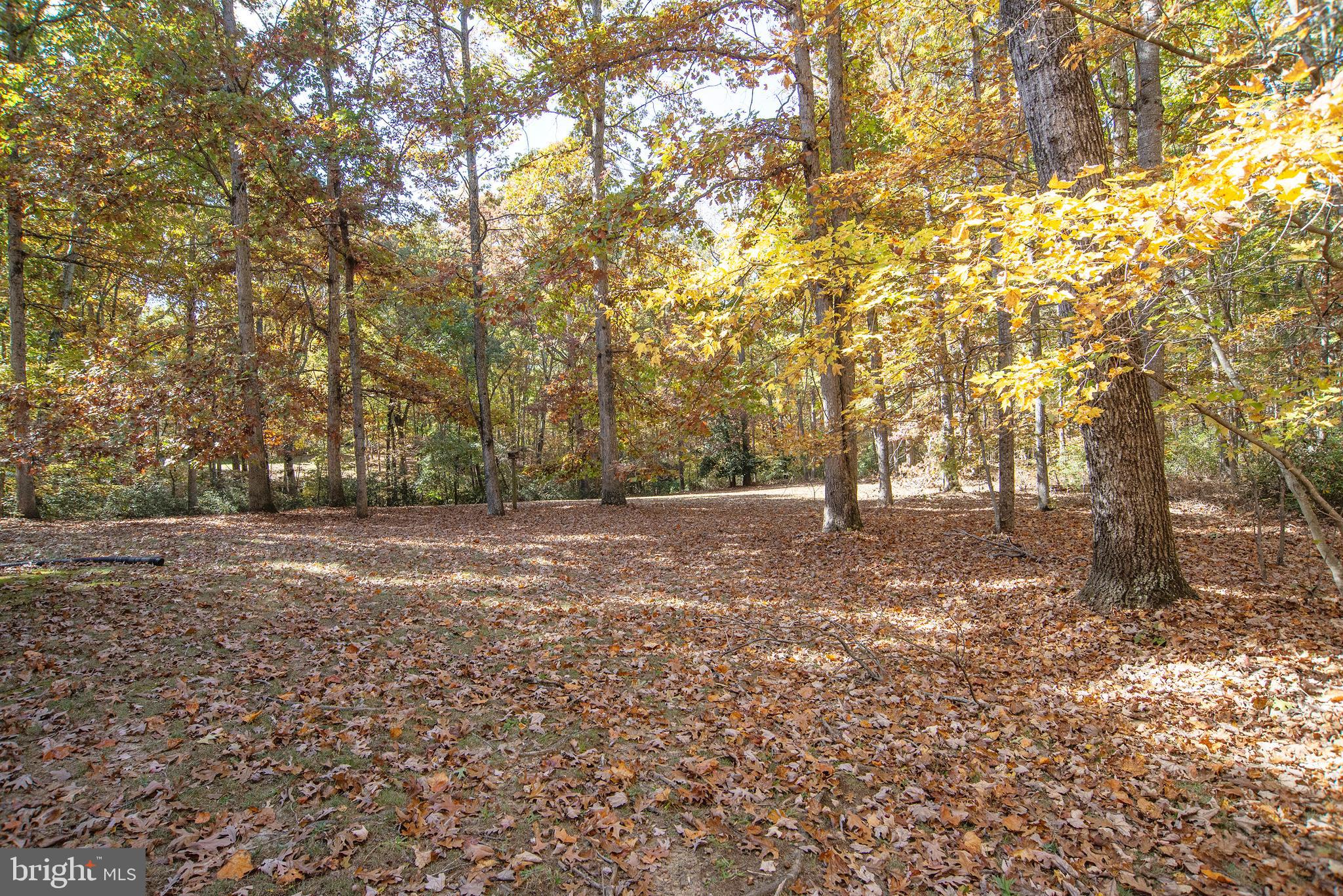 CHANCELLOR WEST - Residential