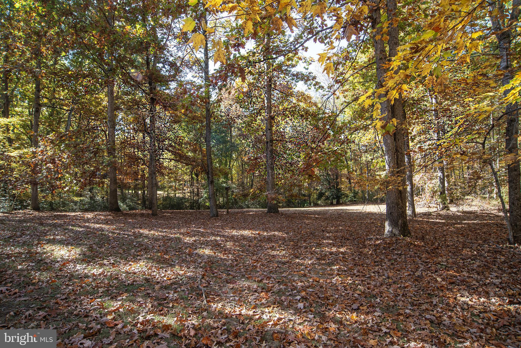 CHANCELLOR WEST - Residential