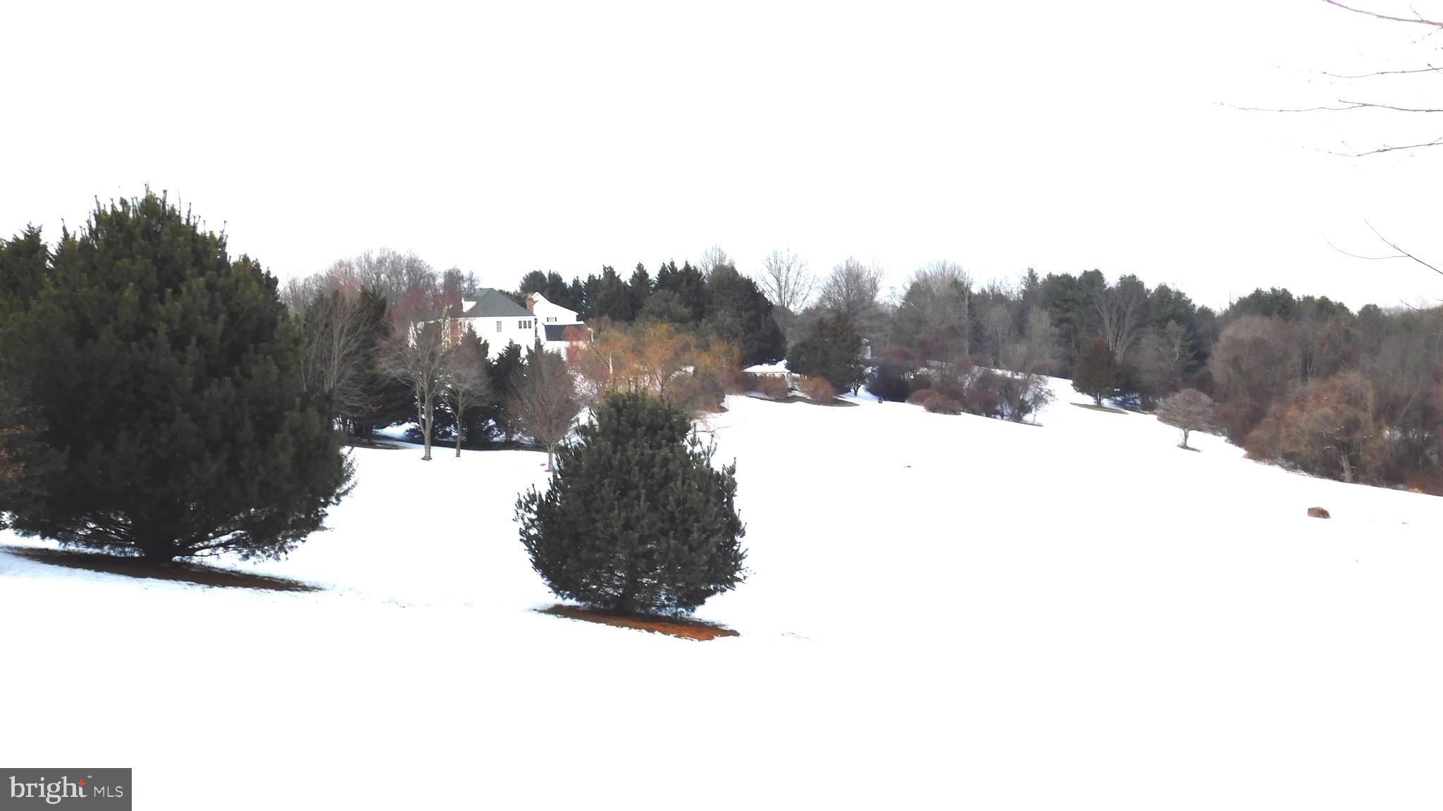 REEVES CROSSING - Residential Lease