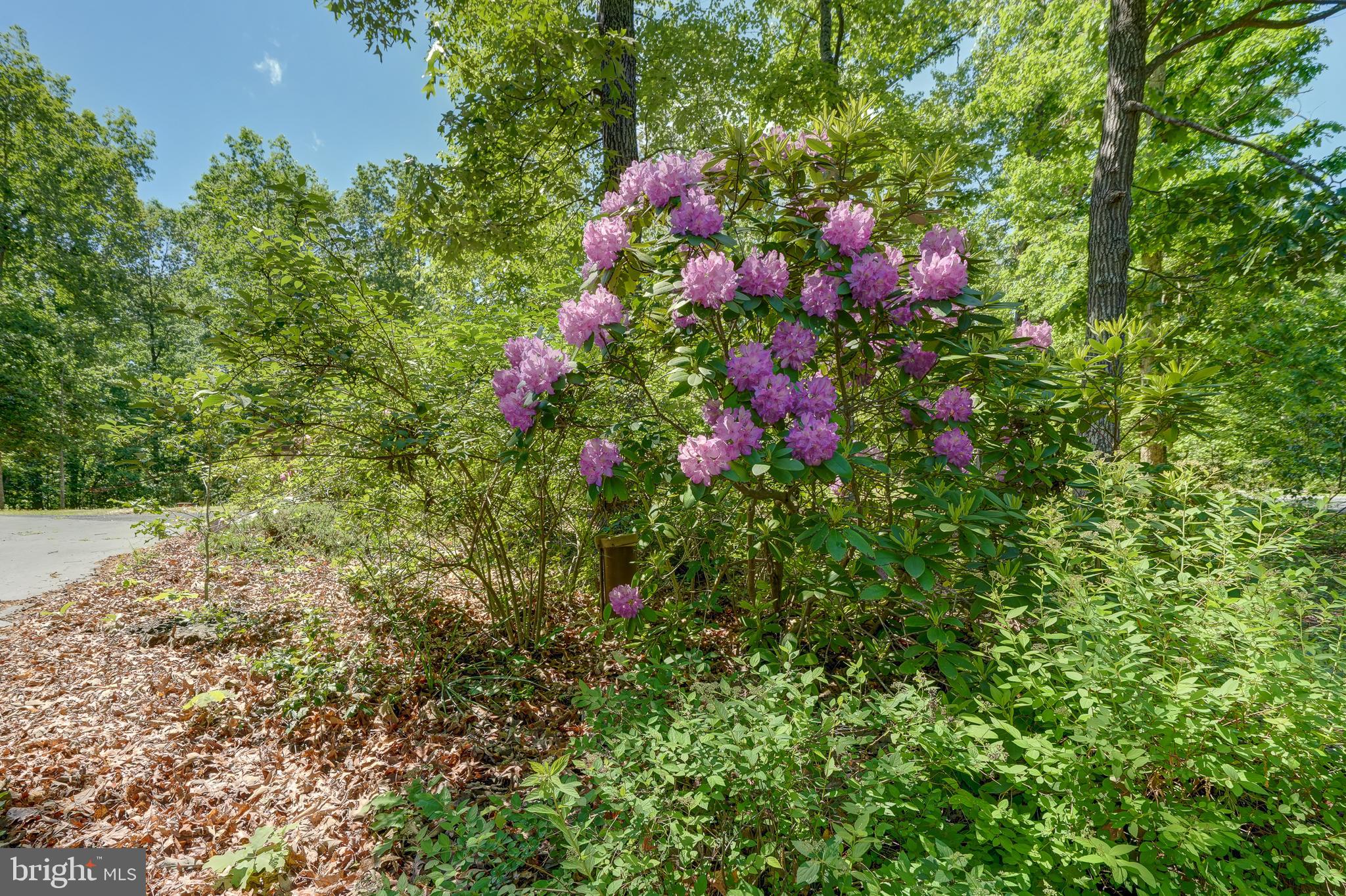 WINDWOOD COVES - Residential