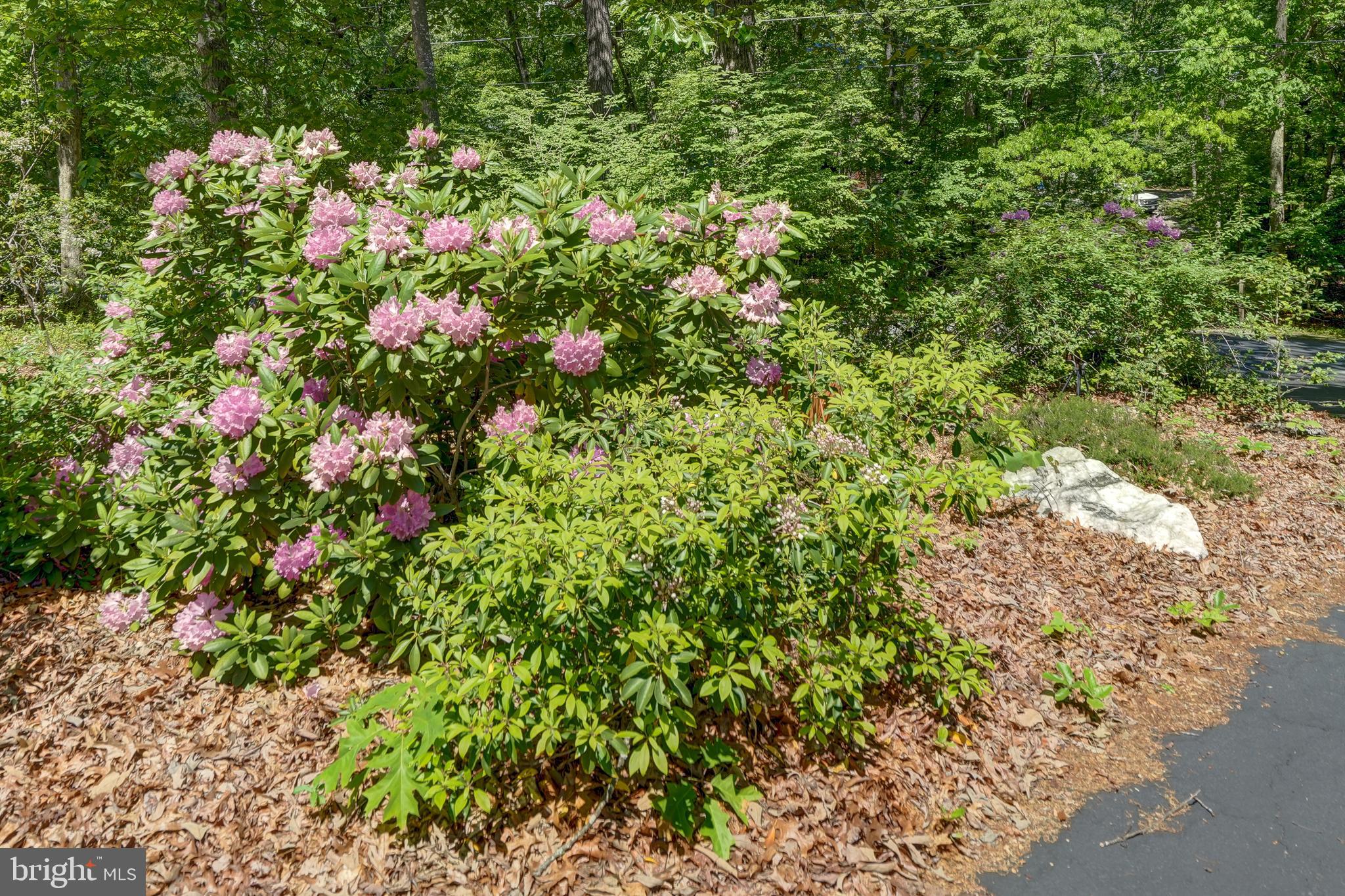 WINDWOOD COVES - Residential