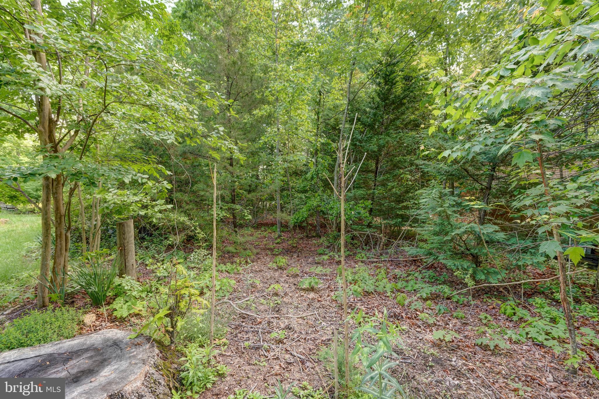 WINDWOOD COVES - Residential