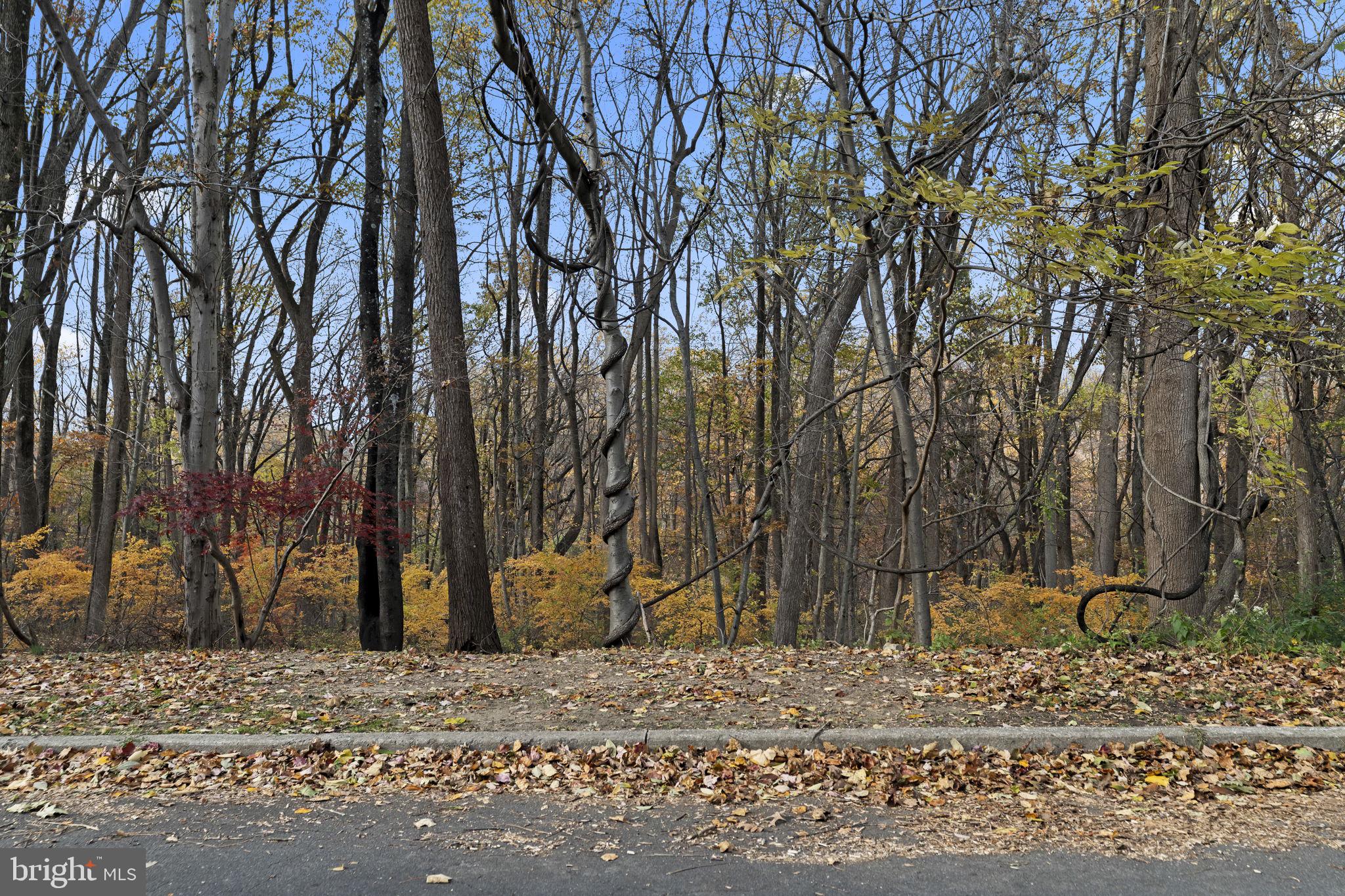 ROXBOROUGH - Residential