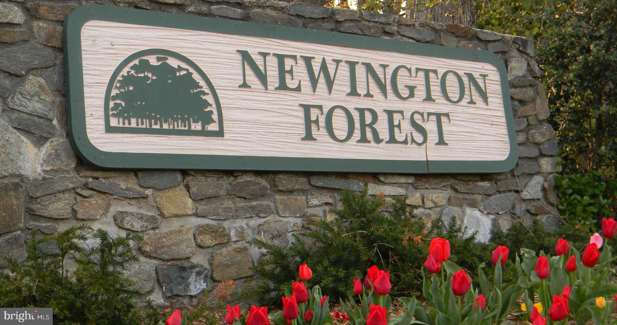 NEWINGTON FOREST - Residential Lease