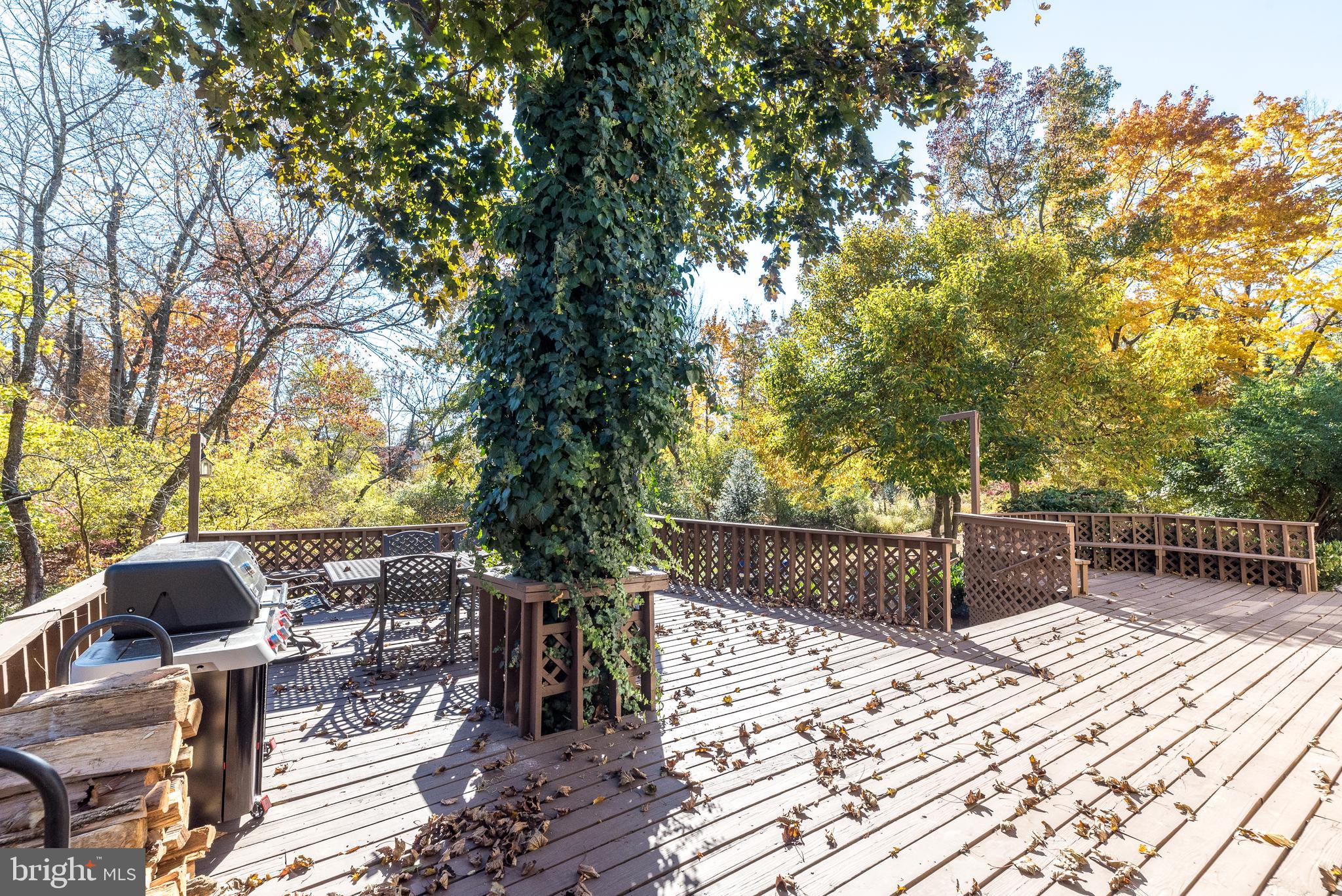 GWYNEDD HILL - Residential