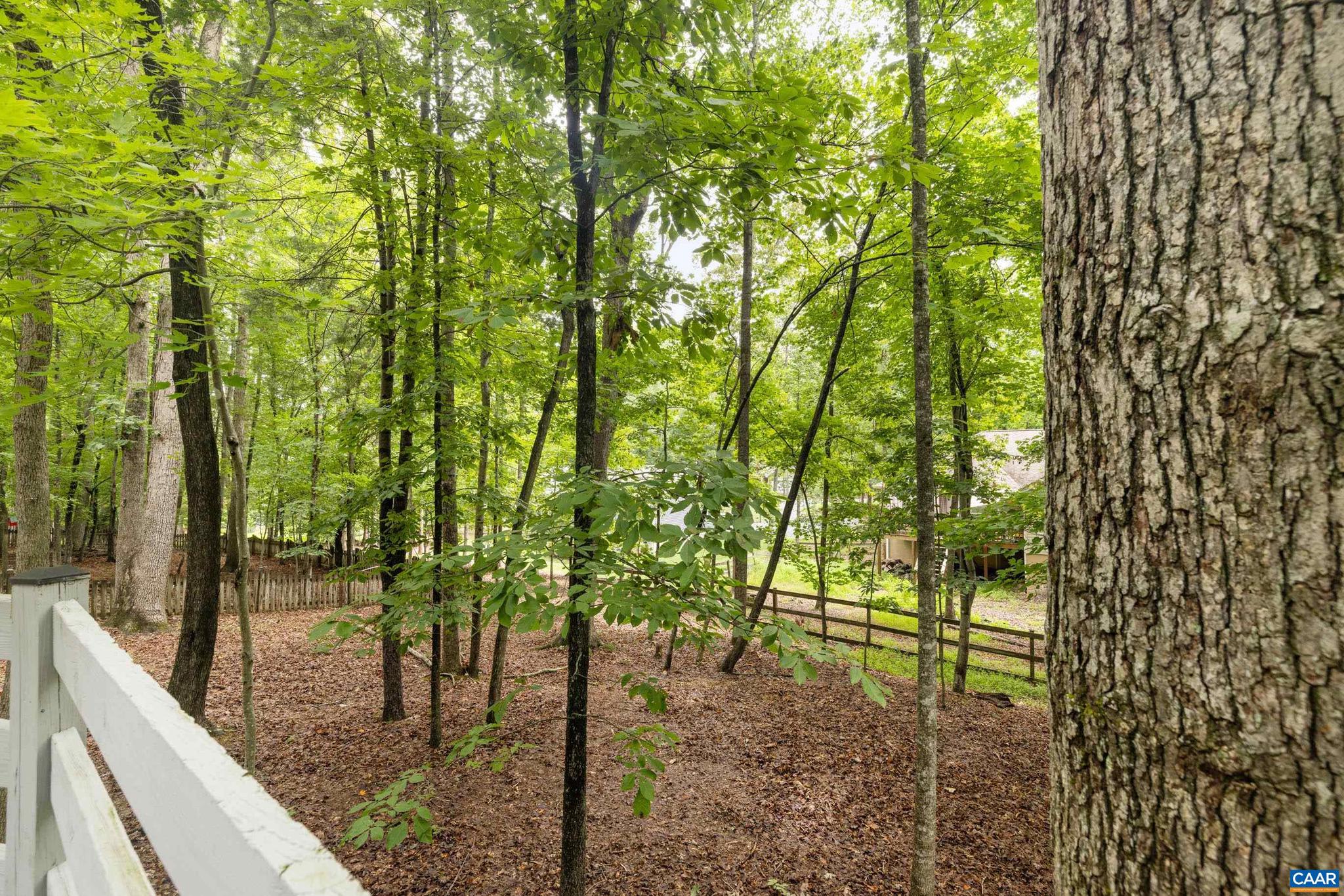 LAKE MONTICELLO - Residential