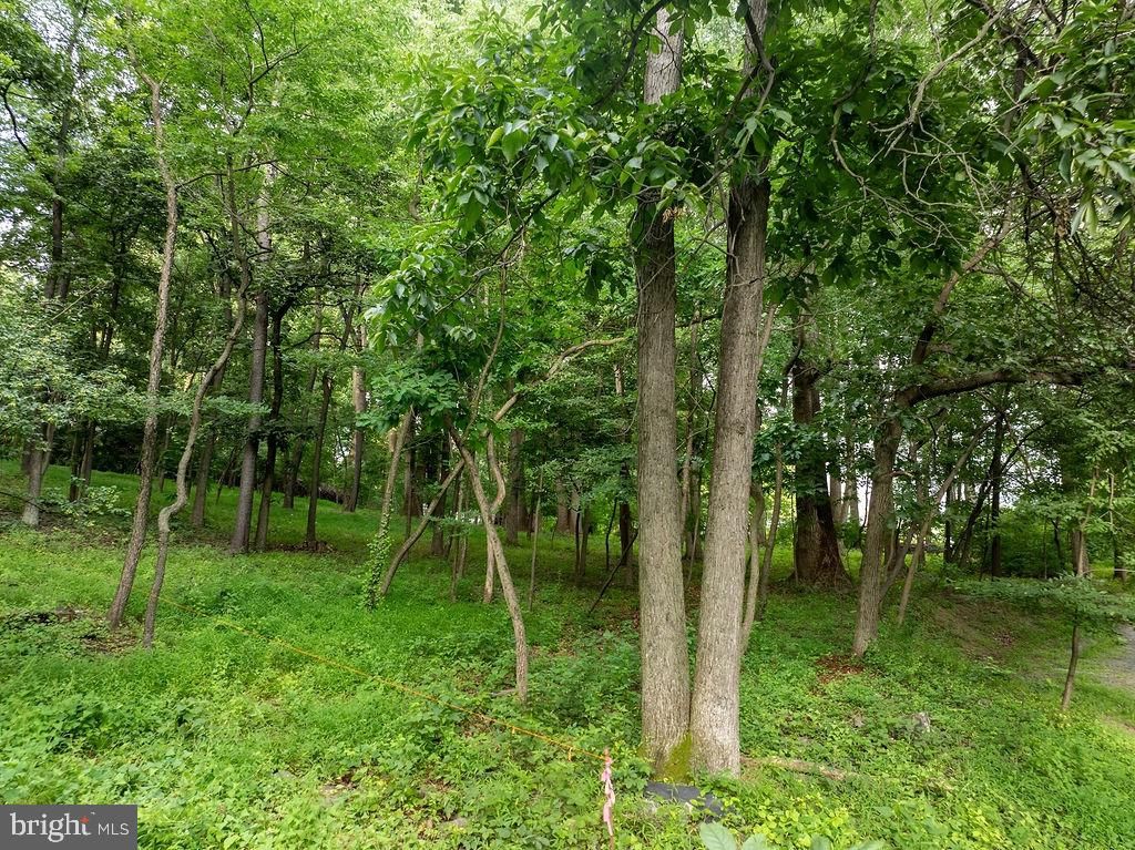 Photo of 11 Mary Ann Trail, FAIRFIELD, PA 17320 (MLS # PAAD2020114)
