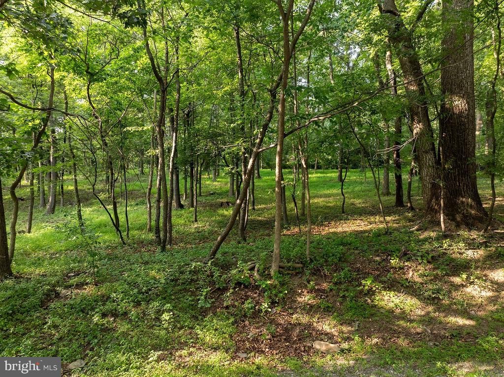 Photo of 11 Mary Ann Trail, FAIRFIELD, PA 17320 (MLS # PAAD2020114)