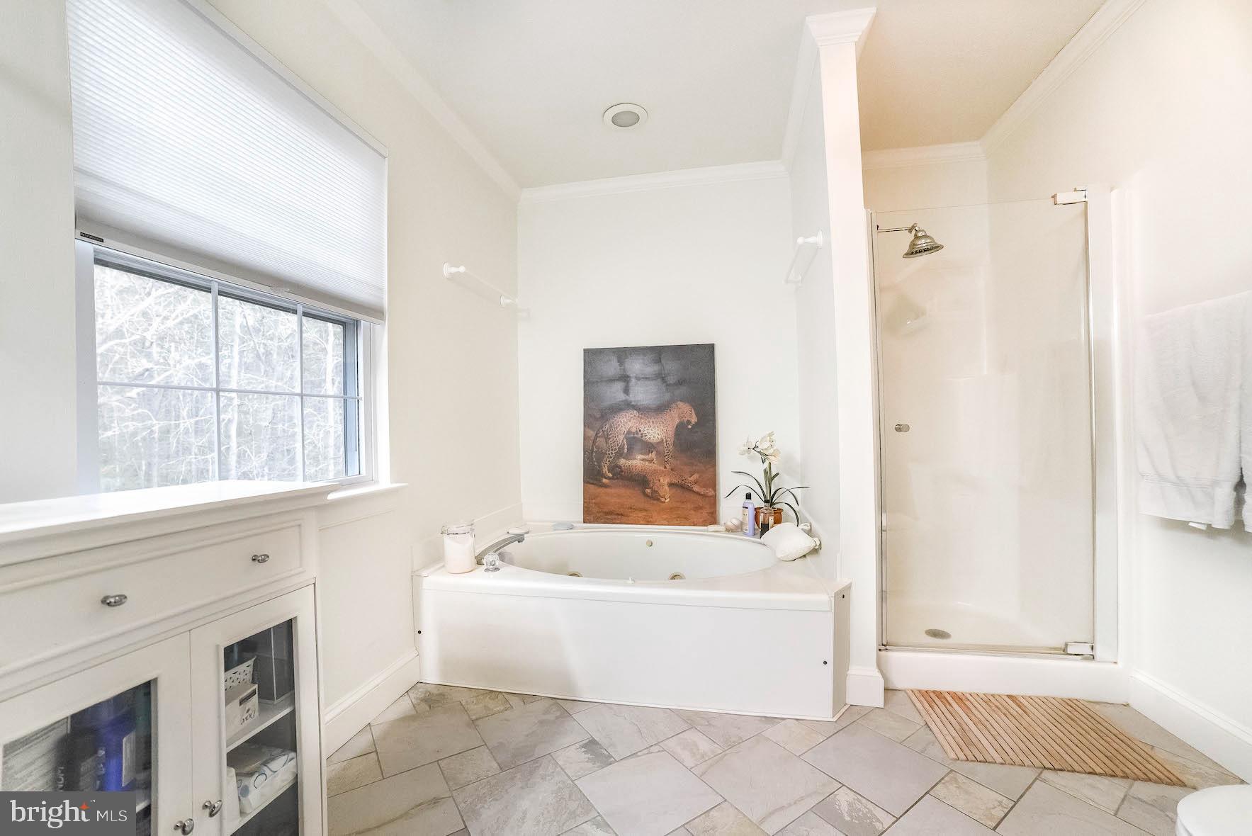 CHESTNUT HILLS - Residential