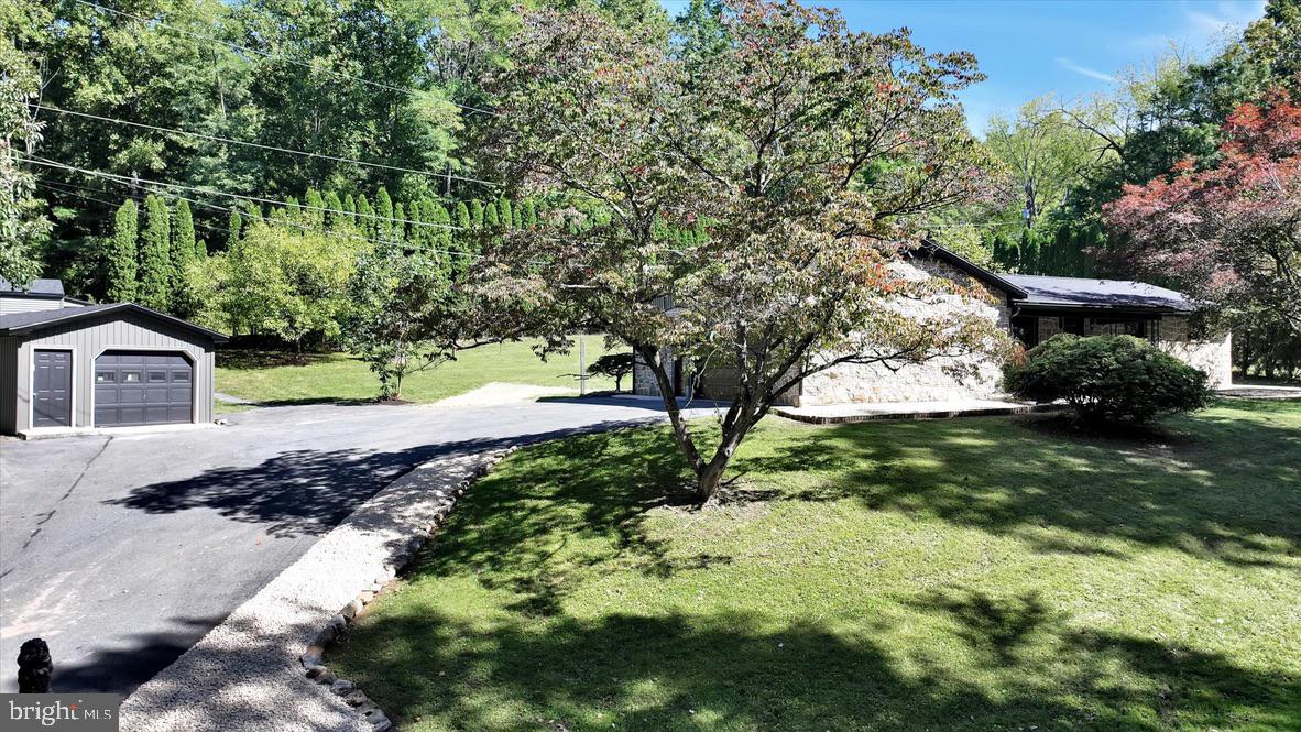 11 LOCUST LANE