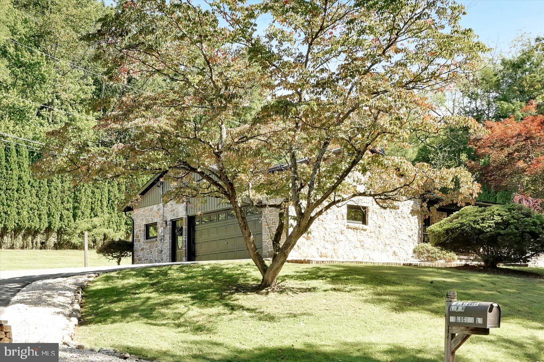 11 LOCUST LANE