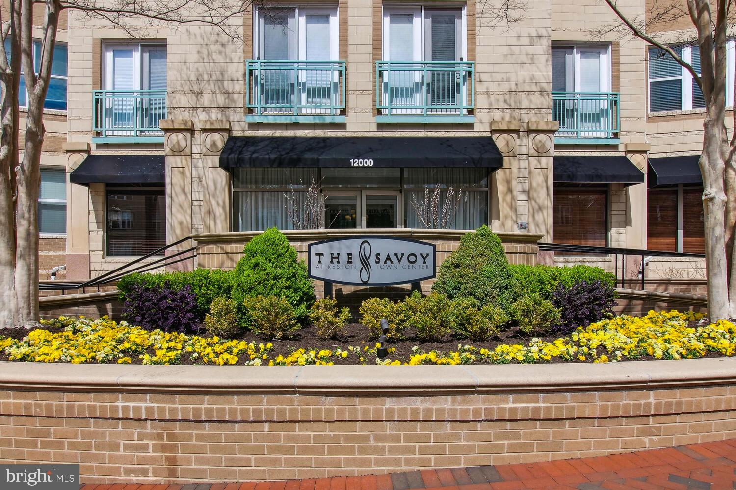 SAVOY AT RESTON TOWN CENTER - Residential