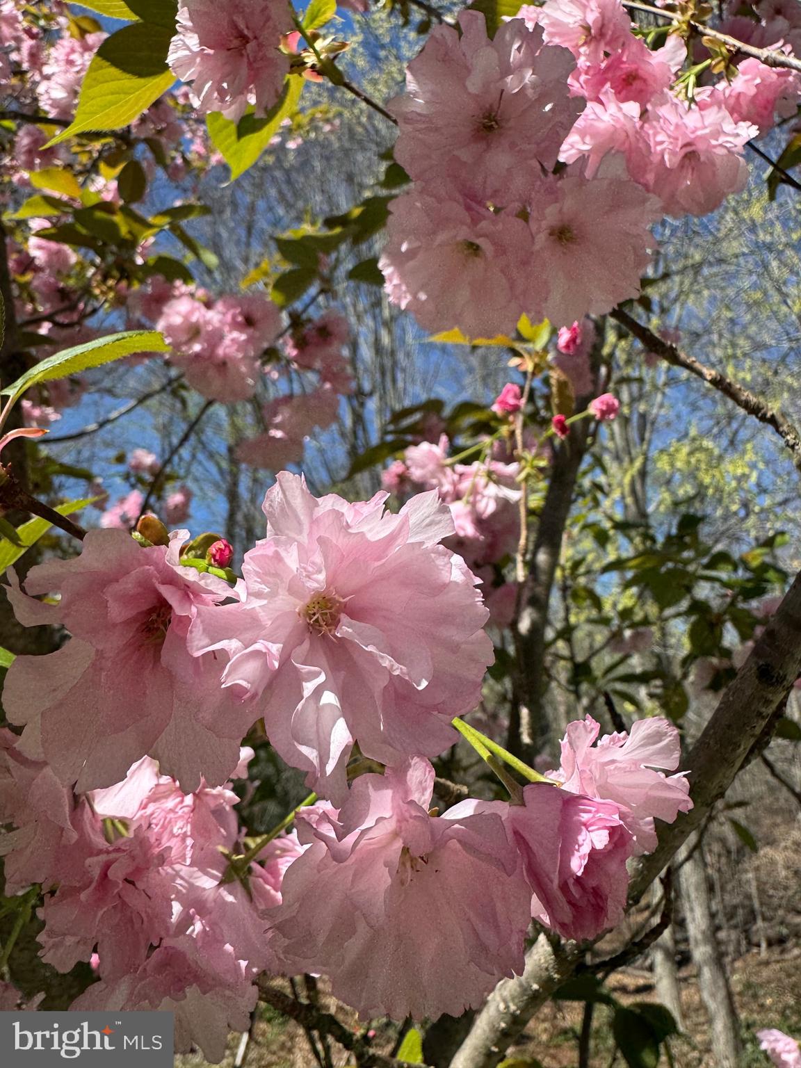 GLENCAIRN - Residential