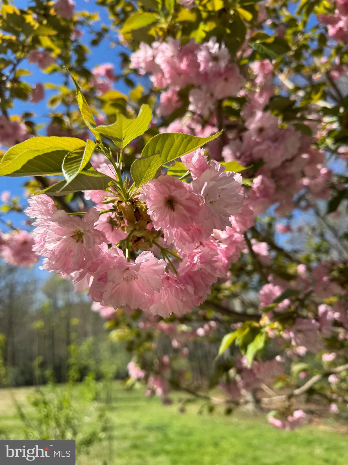 GLENCAIRN - Residential