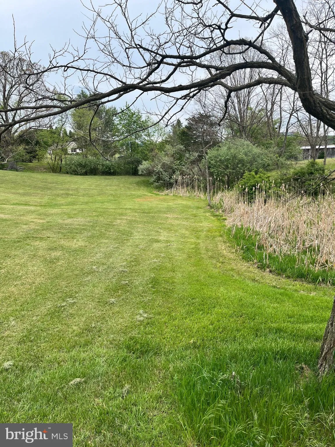 Additional image 89 of 2166 Country Road, Maysville, WV 26833