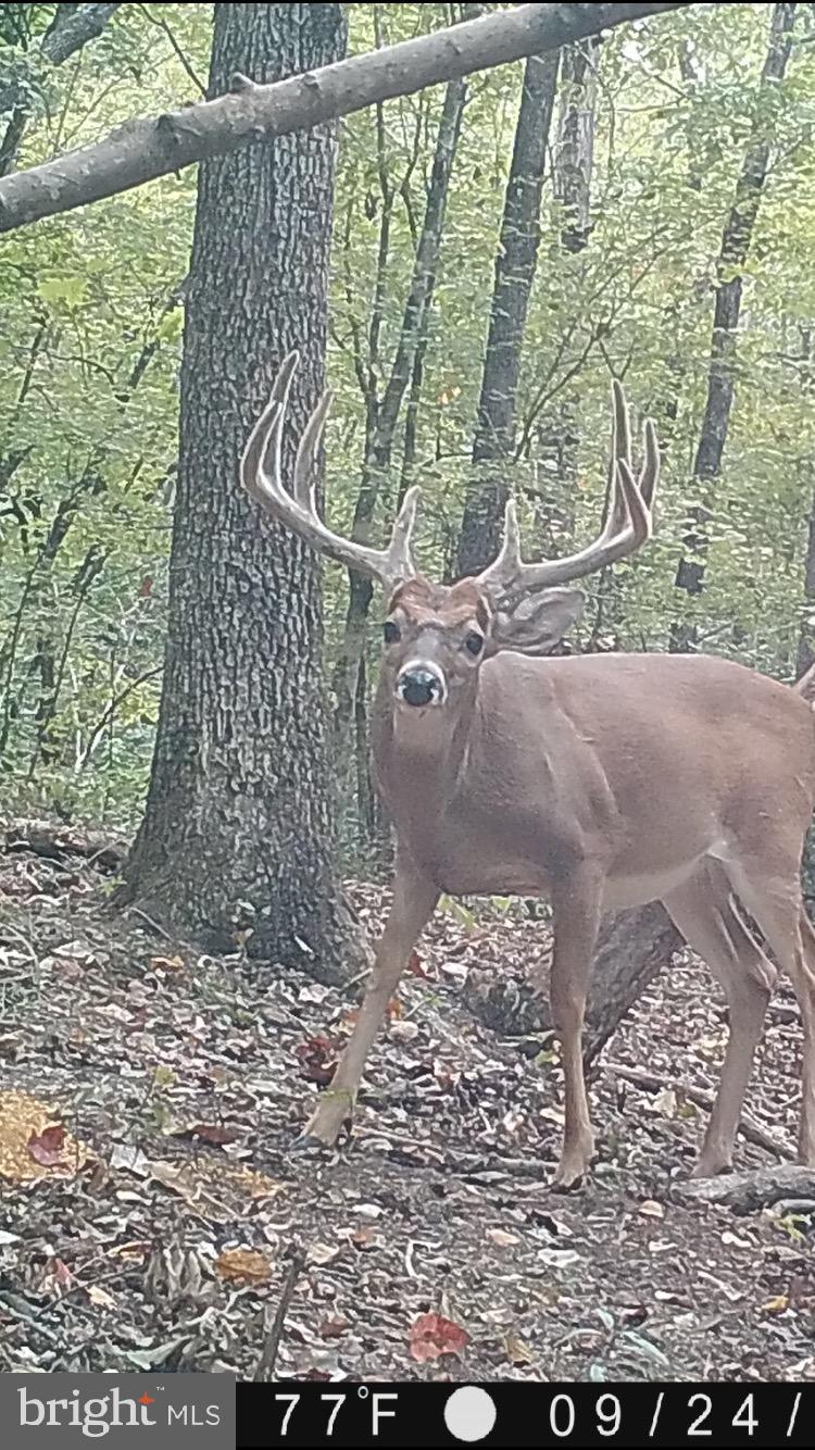 CANOE NECK CREEK - Farm