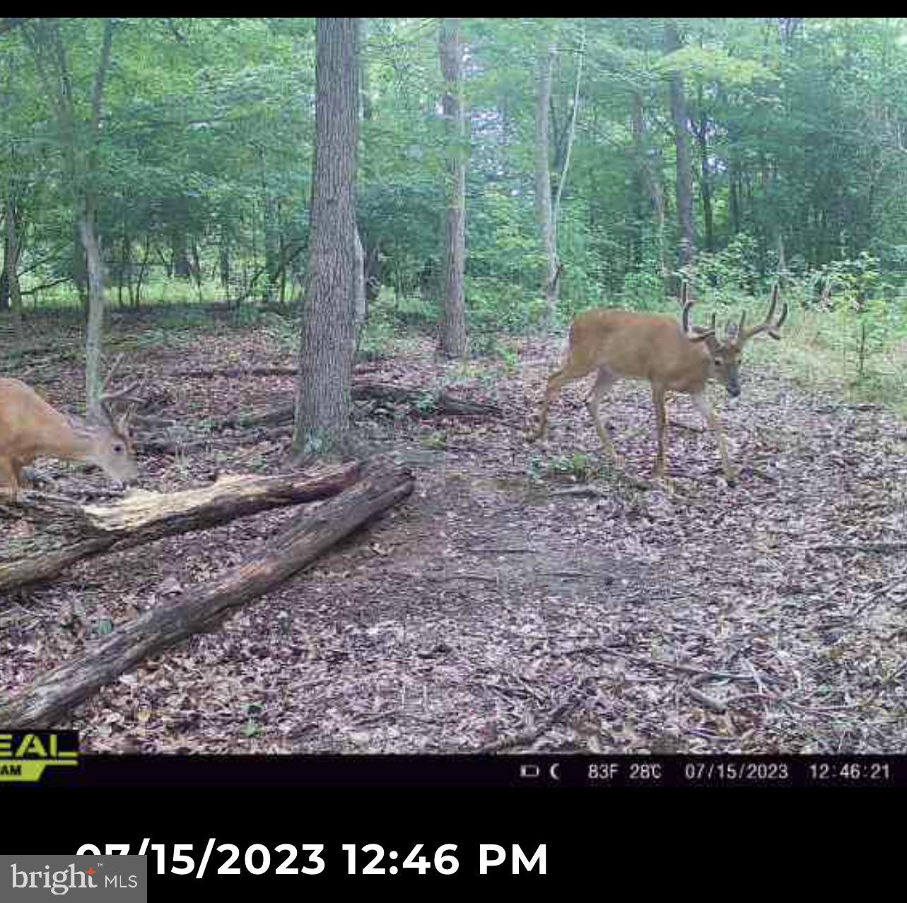 CANOE NECK CREEK - Farm