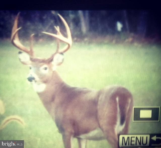 CANOE NECK CREEK - Farm