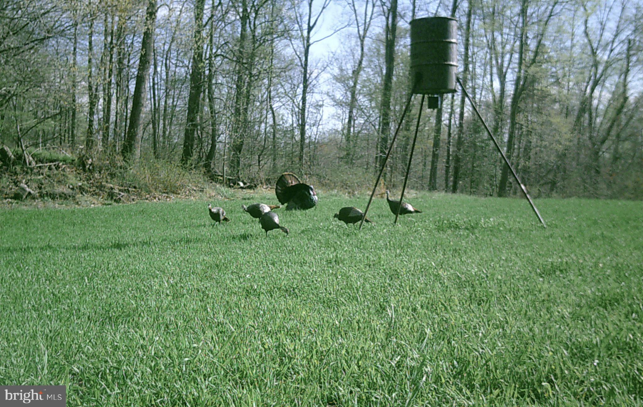 CANOE NECK CREEK - Farm