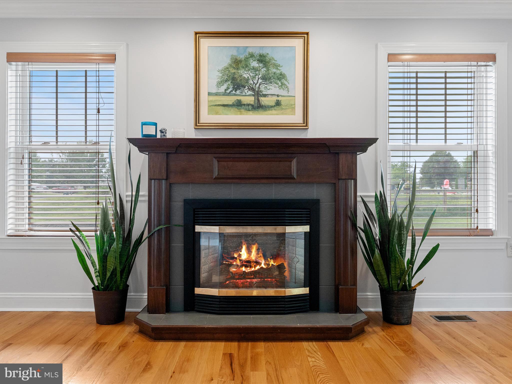 LOCUST HILL - Residential