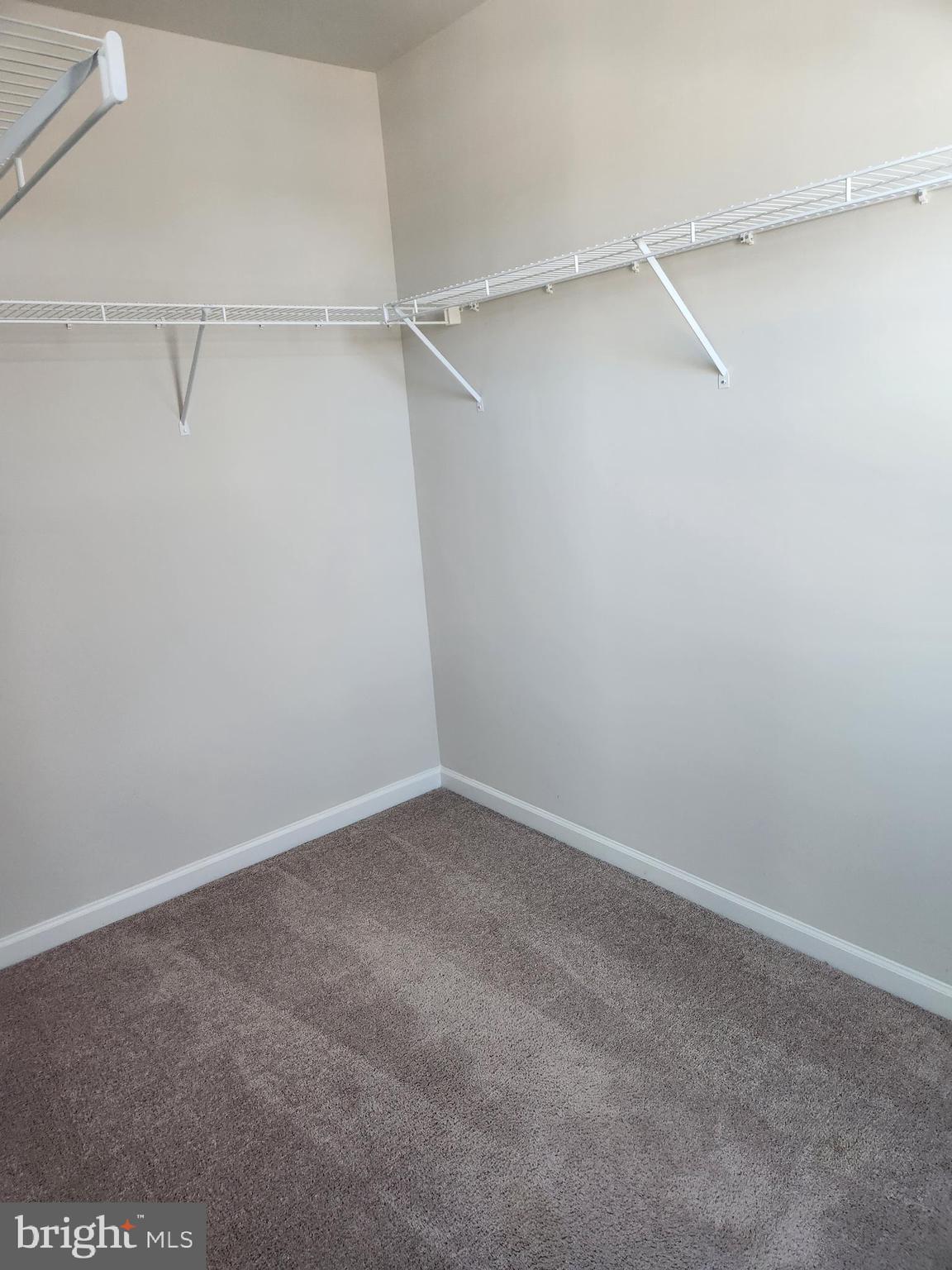 CARDINAL POINTE - Residential Lease