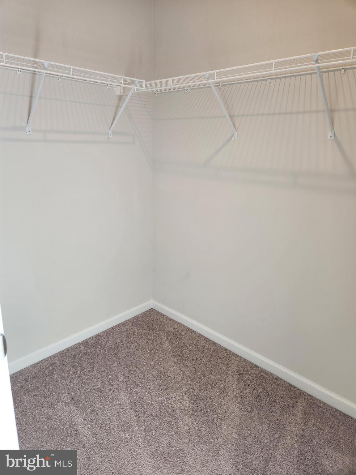 CARDINAL POINTE - Residential Lease