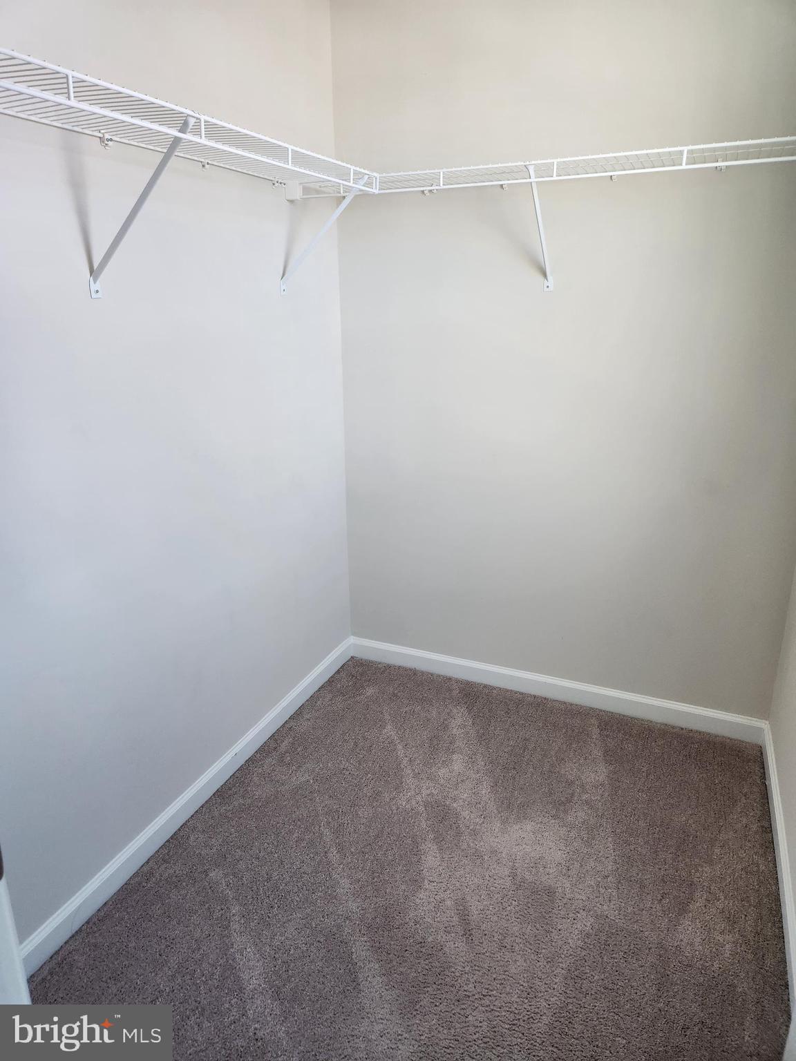 CARDINAL POINTE - Residential Lease