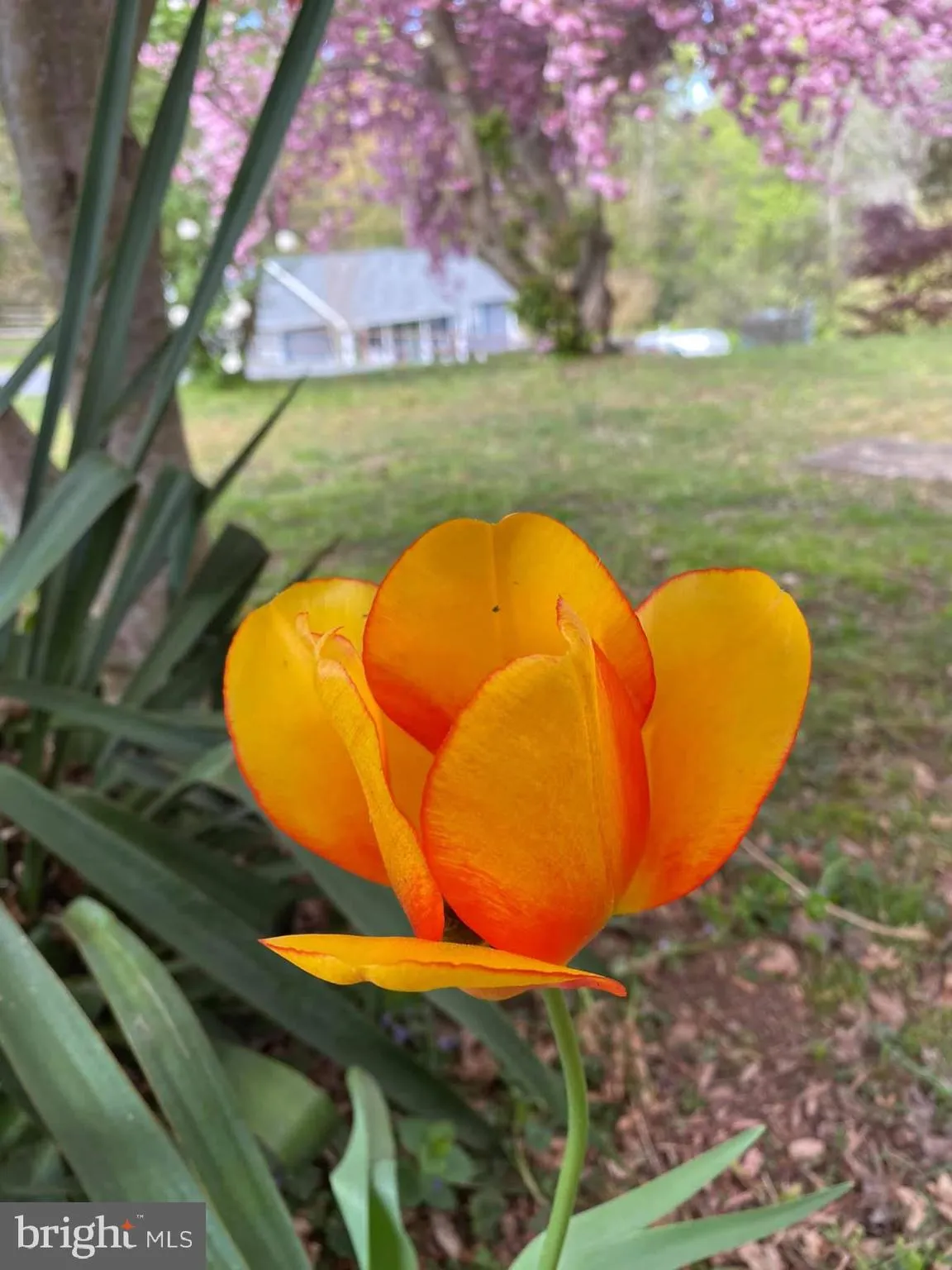 Additional image 38 of 419 Grover Lane, Lusby, MD 20657