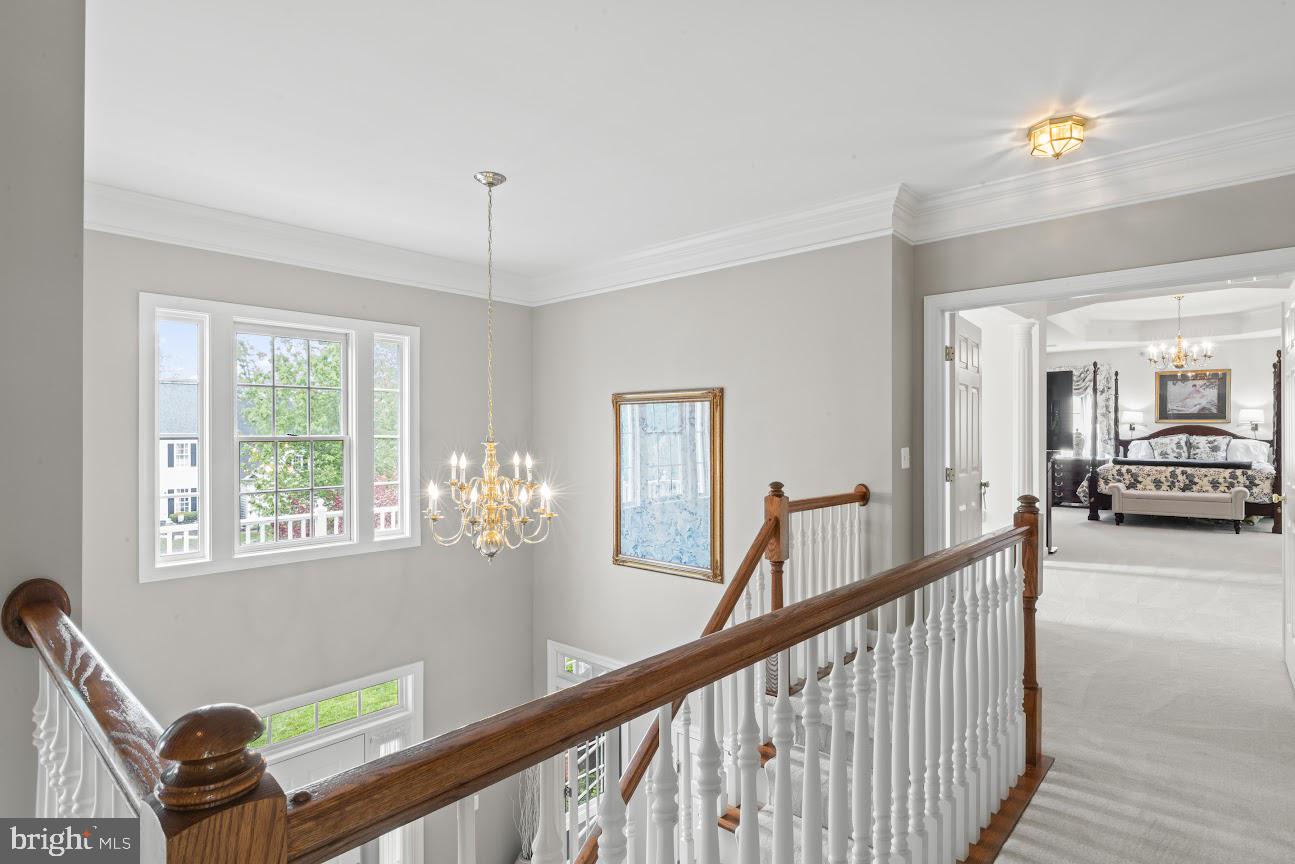 BRAEMAR - Residential