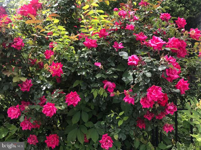 FAIRVIEW ADDITION - Residential