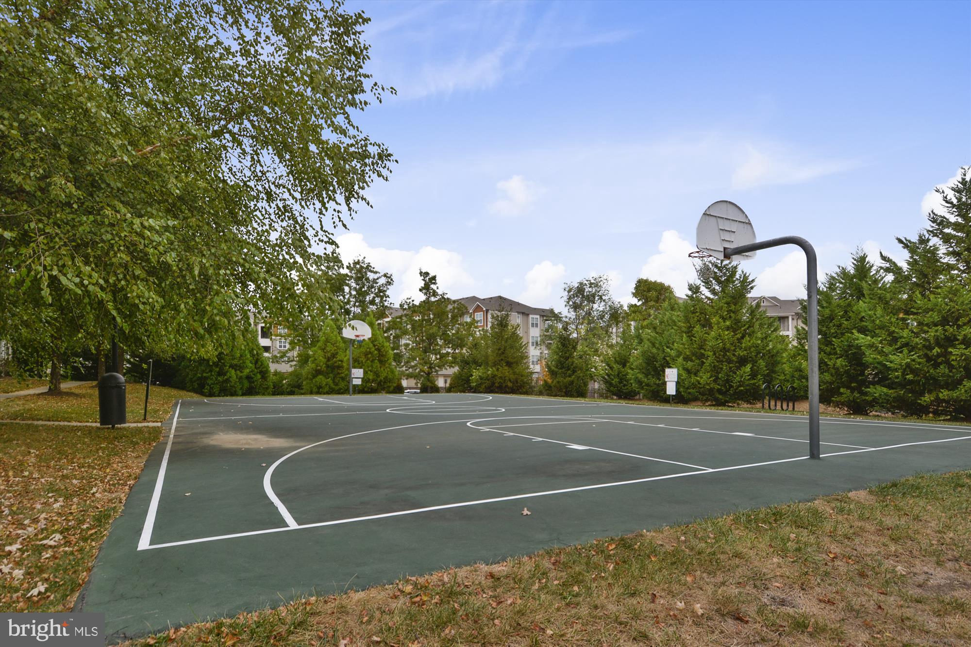 PARKSIDE AT ASHBURN - Residential