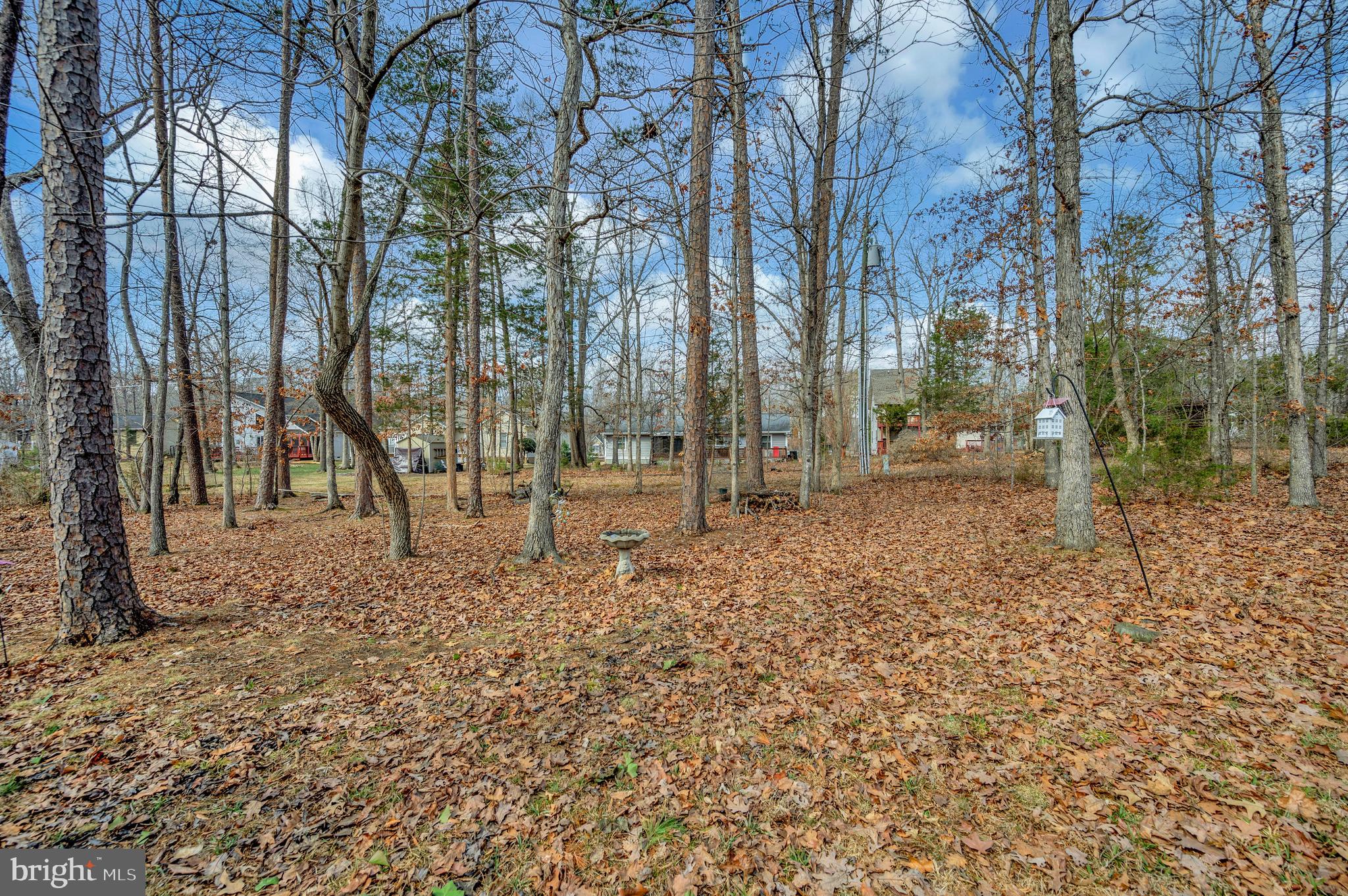 LAKE OF THE WOODS - Residential