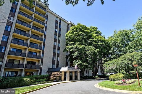 6001 ARLINGTON BOULEVARD 406 FALLS CHURCH VA 22044
