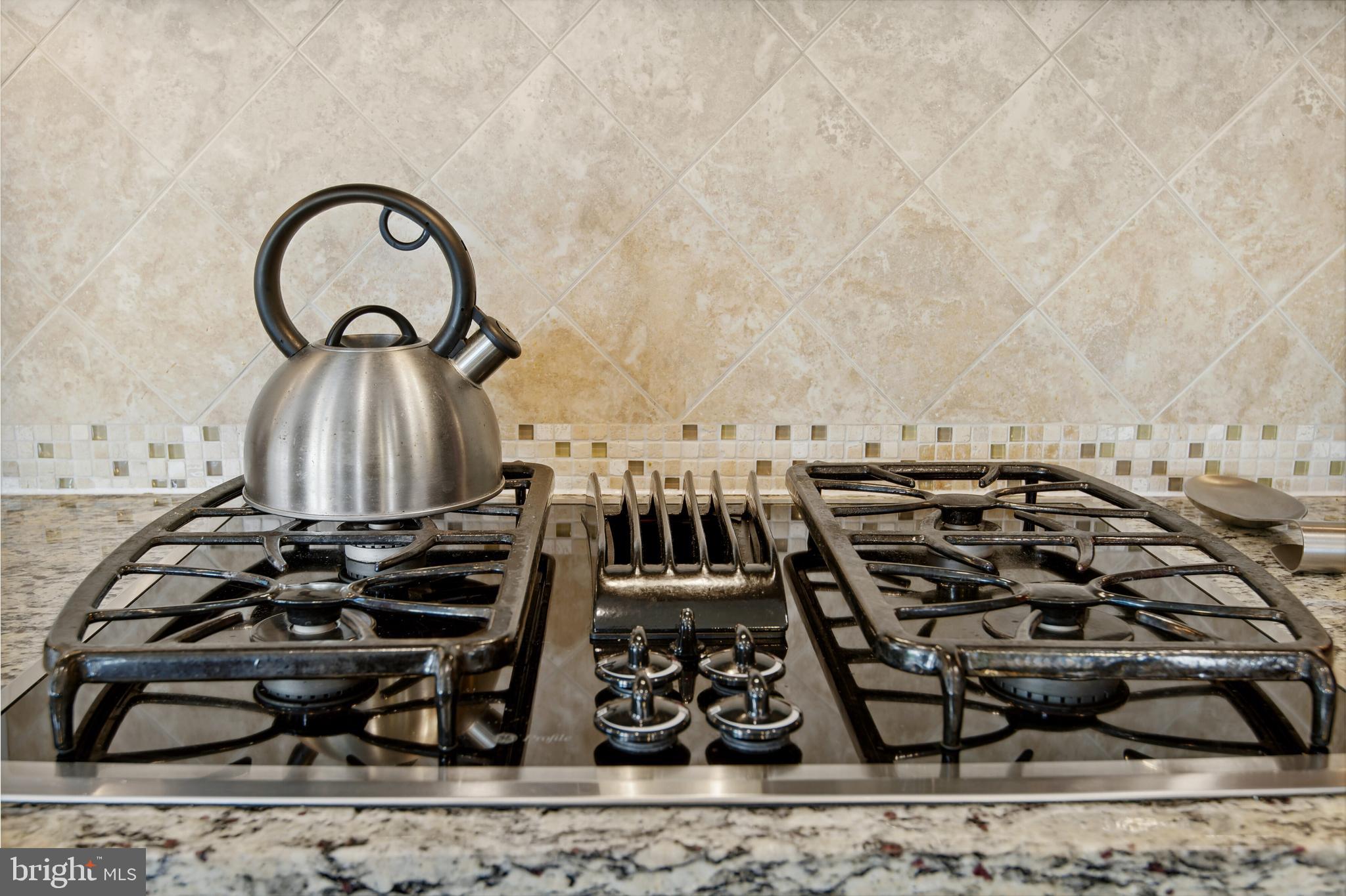 GOOSE CREEK PRESERVE - Residential