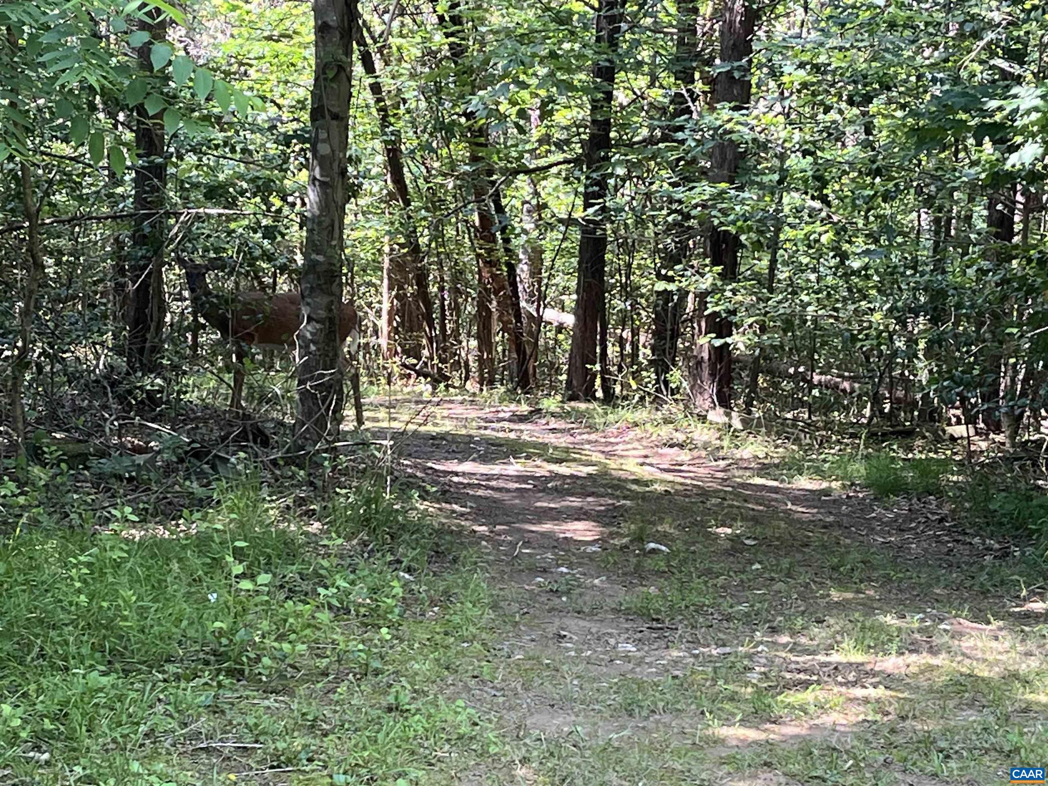 5878A BUFFALO RIVER RD