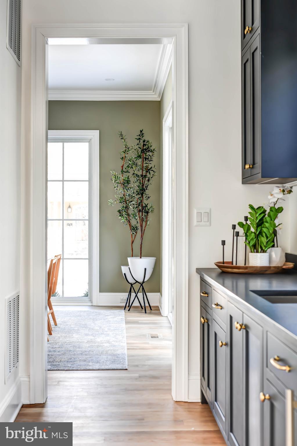 CHEVY CHASE - Residential