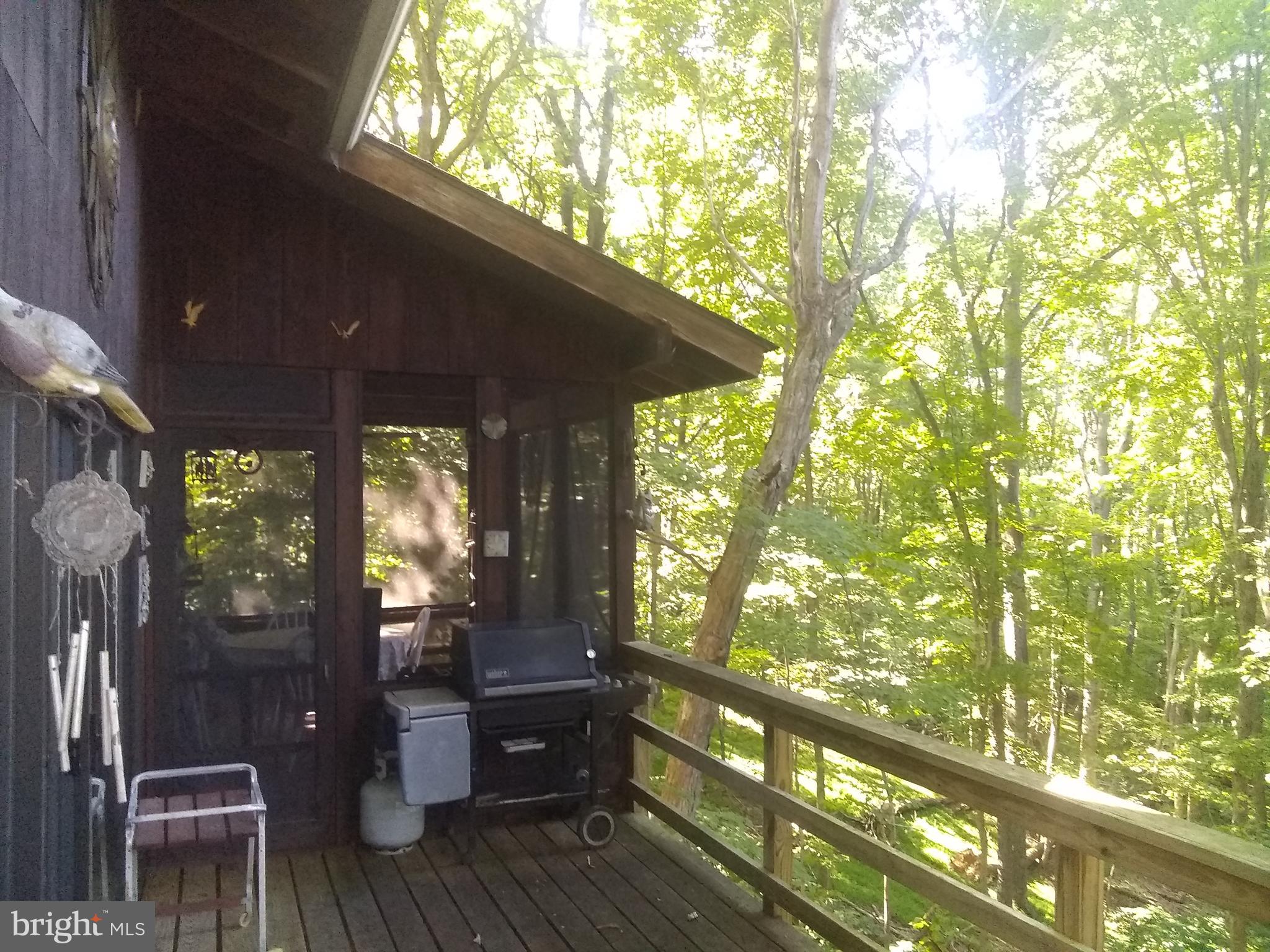 CACAPON RIVER COLONY - Residential